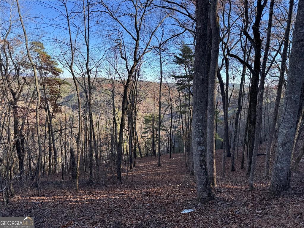 803 Greenwood Circle Ranger GA 30734