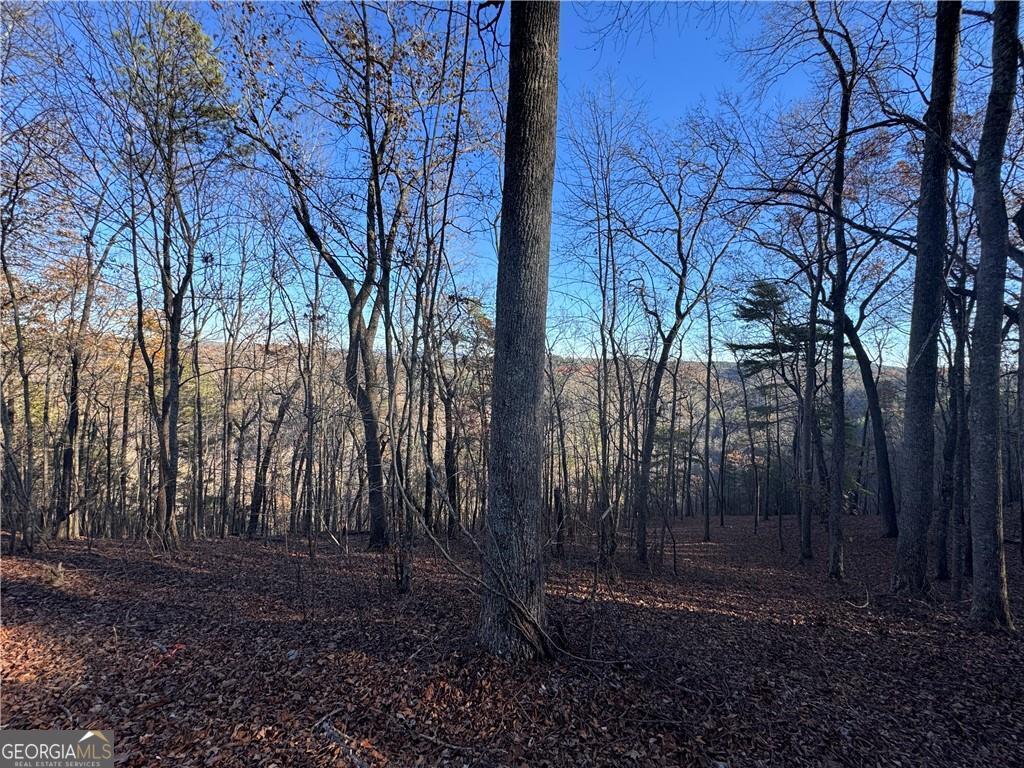 803 Greenwood Circle Ranger GA 30734
