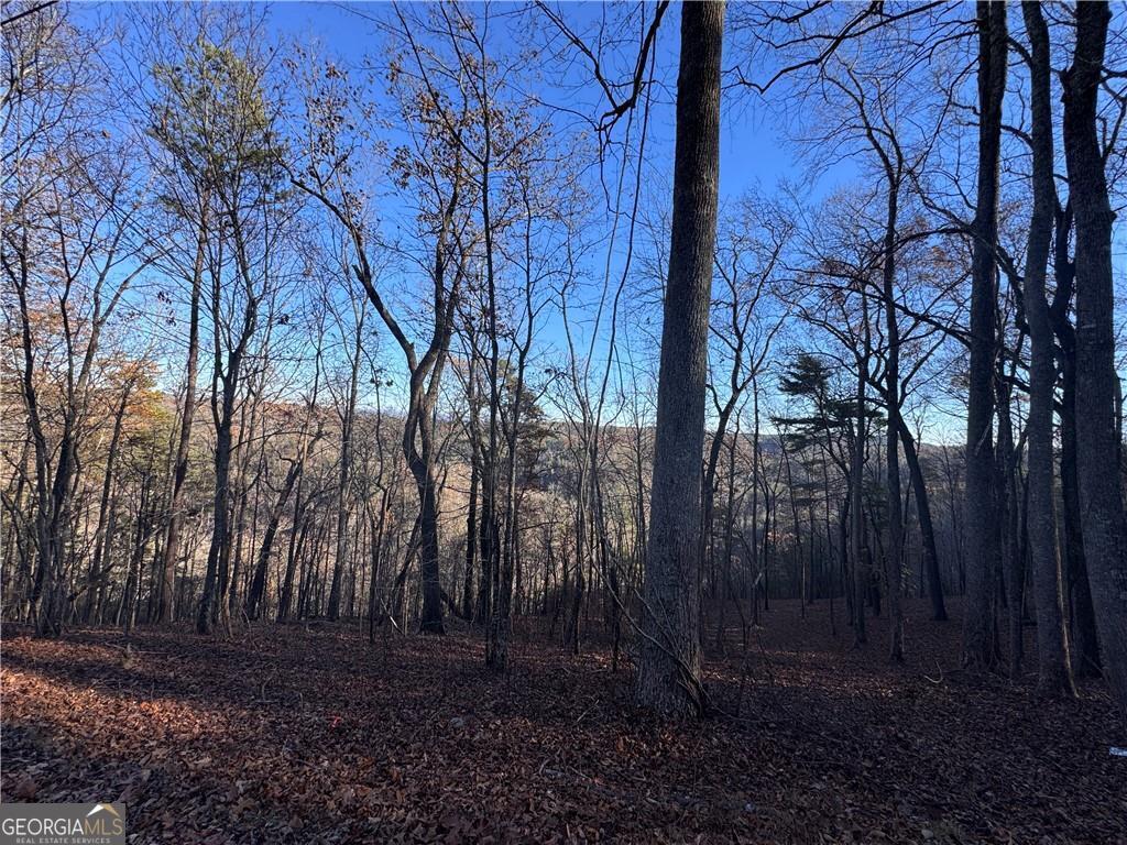 803 Greenwood Circle Ranger GA 30734