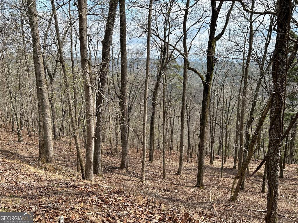 803 Greenwood Circle Ranger GA 30734