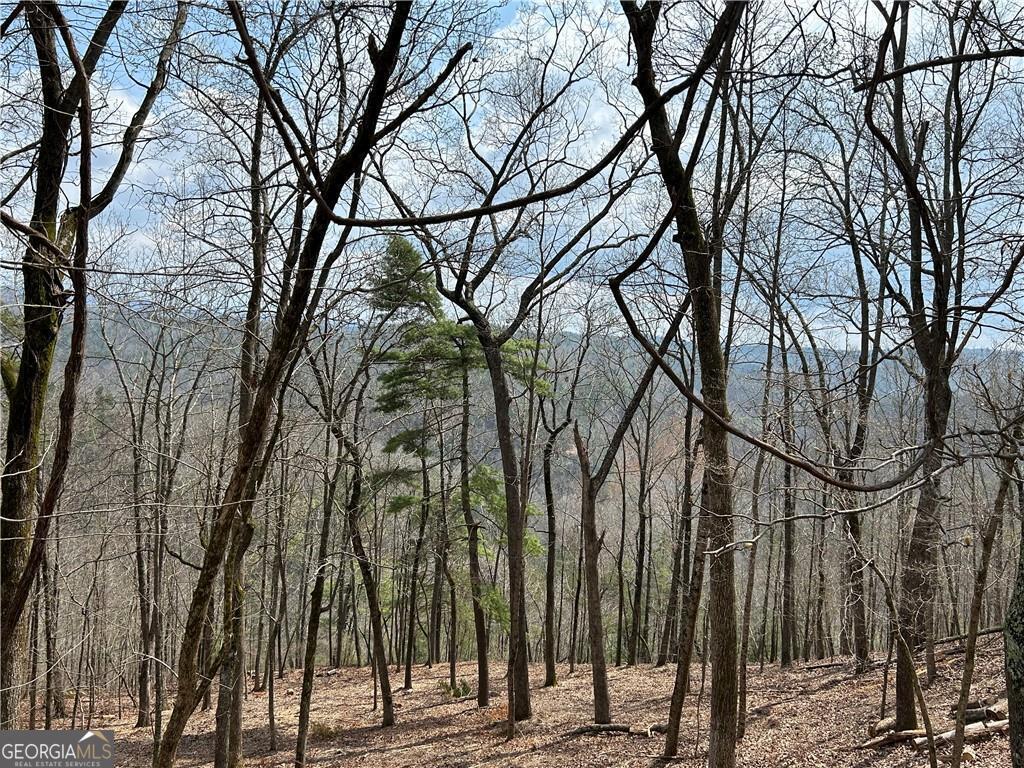 803 Greenwood Circle Ranger GA 30734
