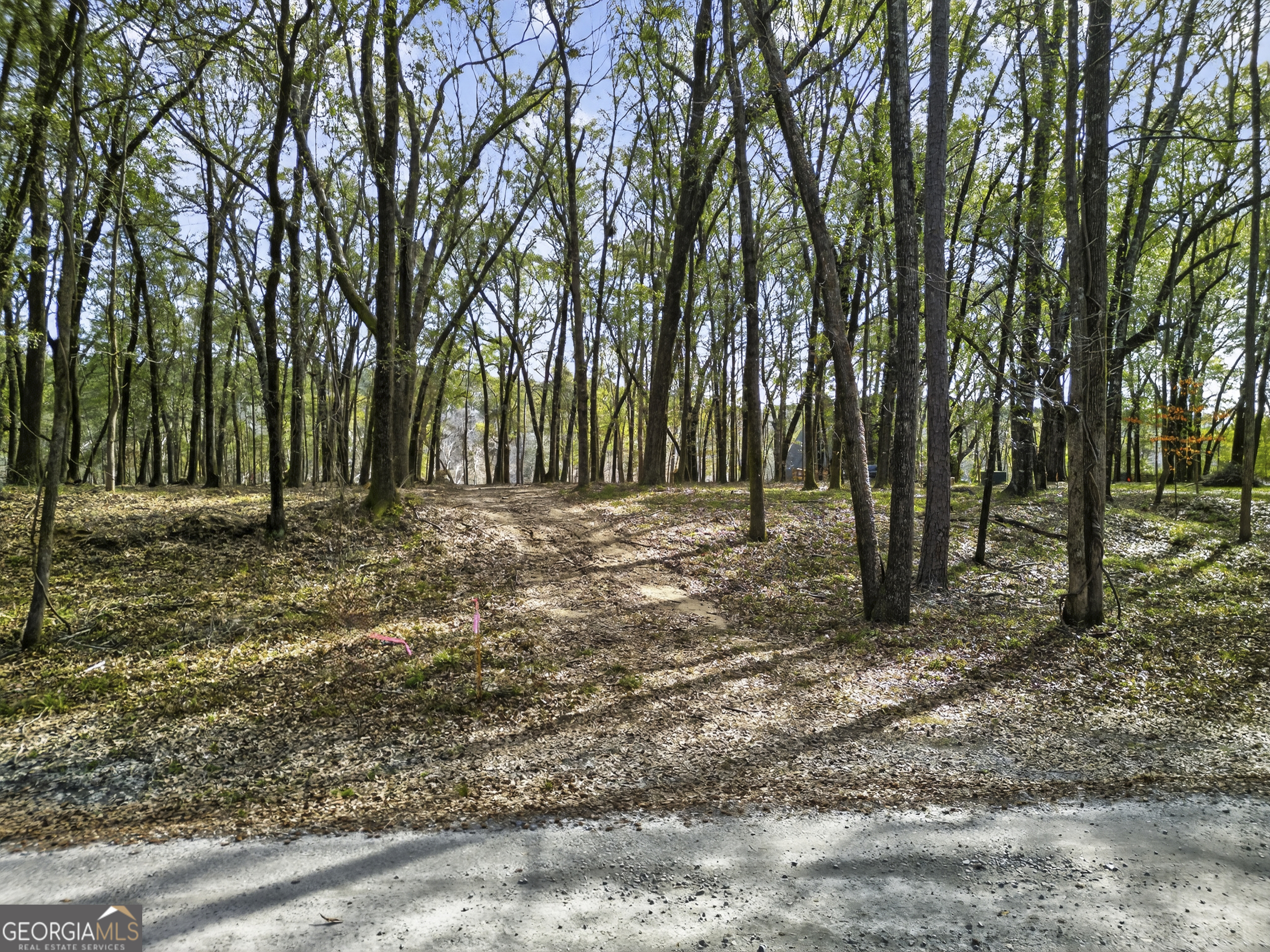 Lot 43 Rivermist Road Juliette GA 31046