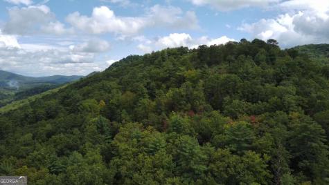 Lot 7 Sequoia Hills Lane Clayton GA 30525