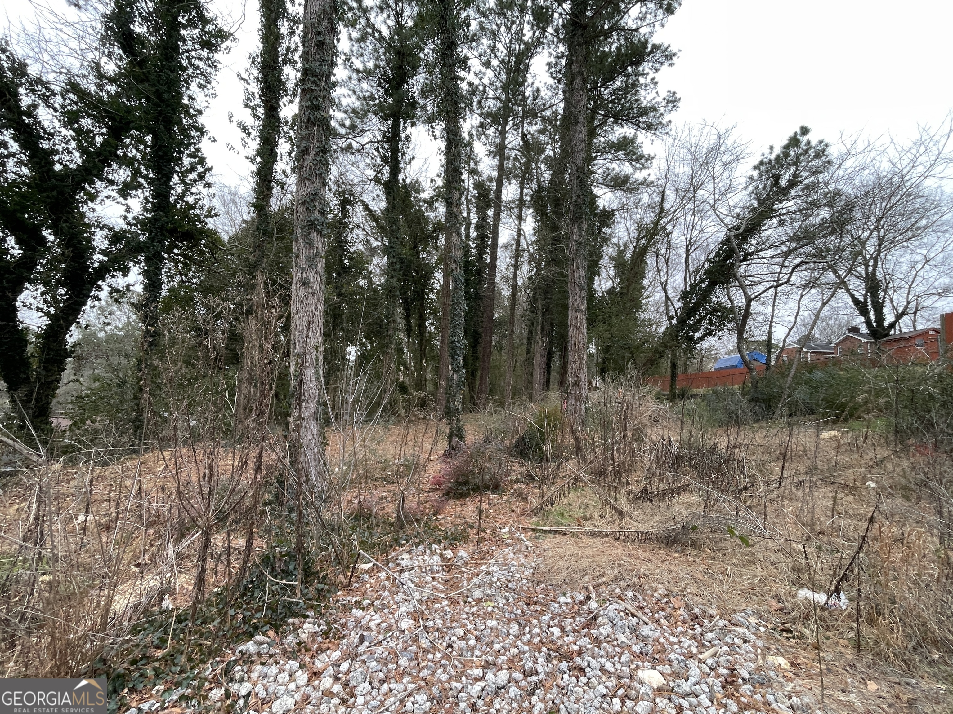 0 Carrington Place Rome GA 30161