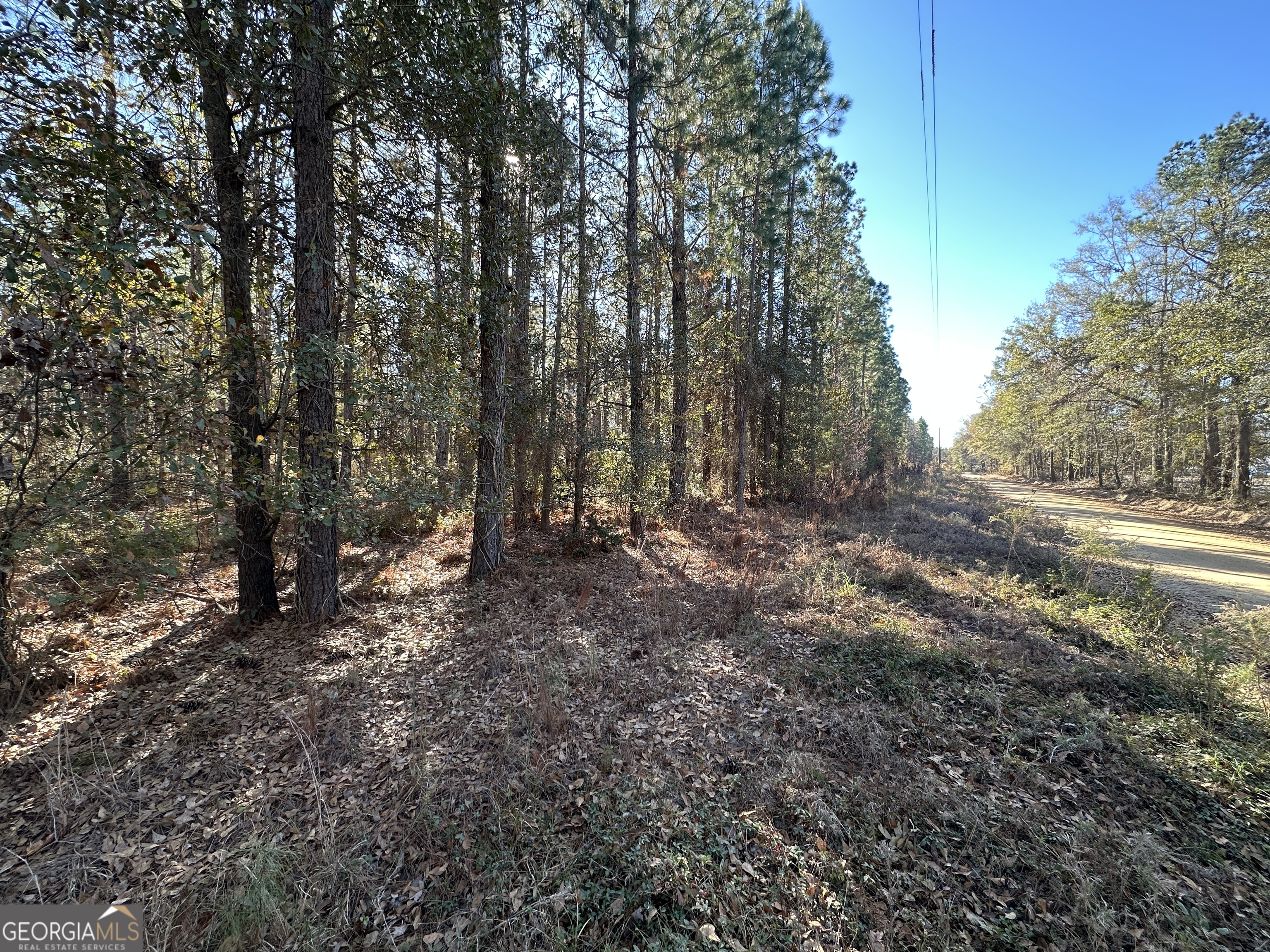 0 Halcyondale Loop Sylvania GA 30467