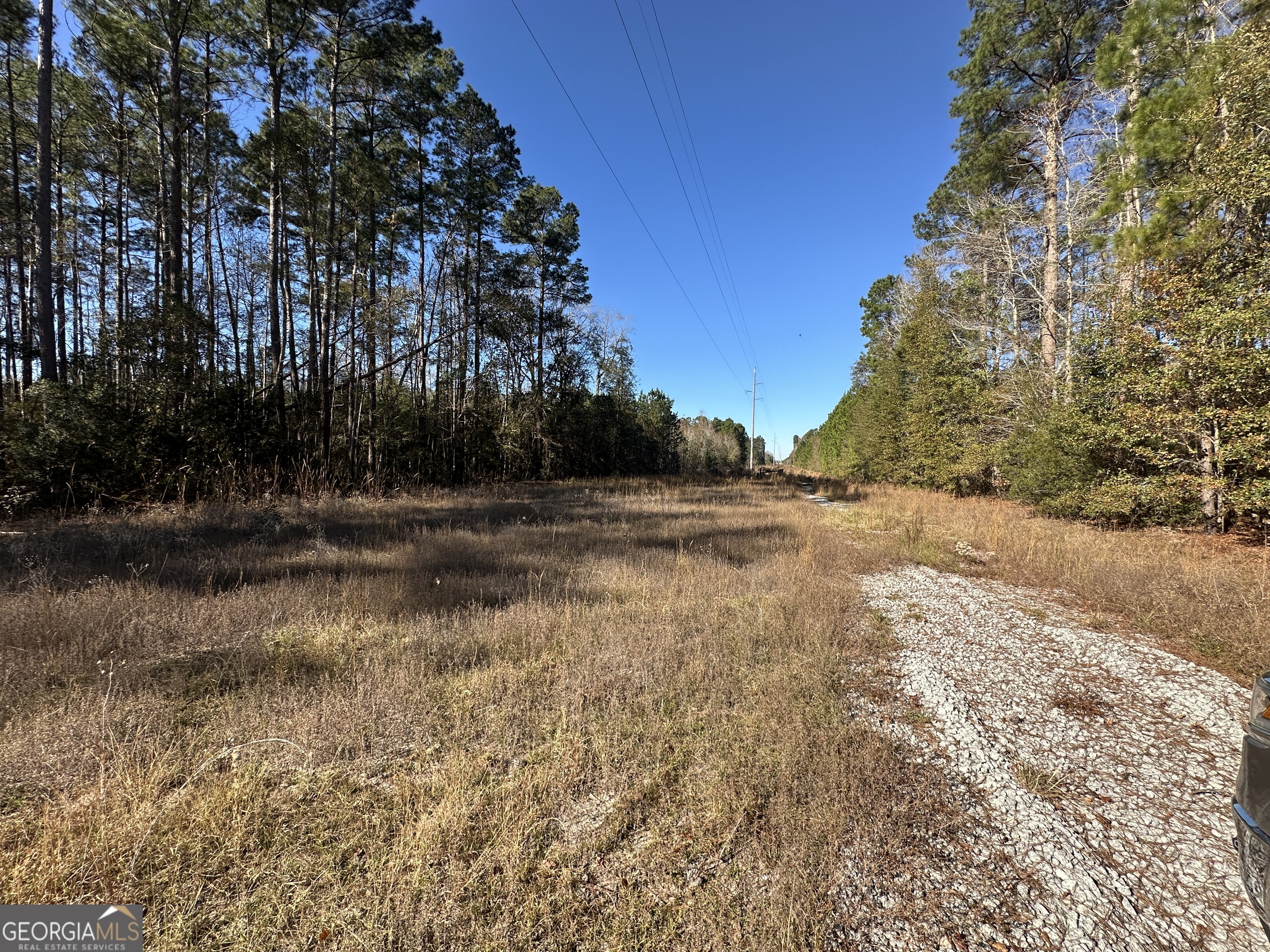 0 Halcyondale Loop Sylvania GA 30467