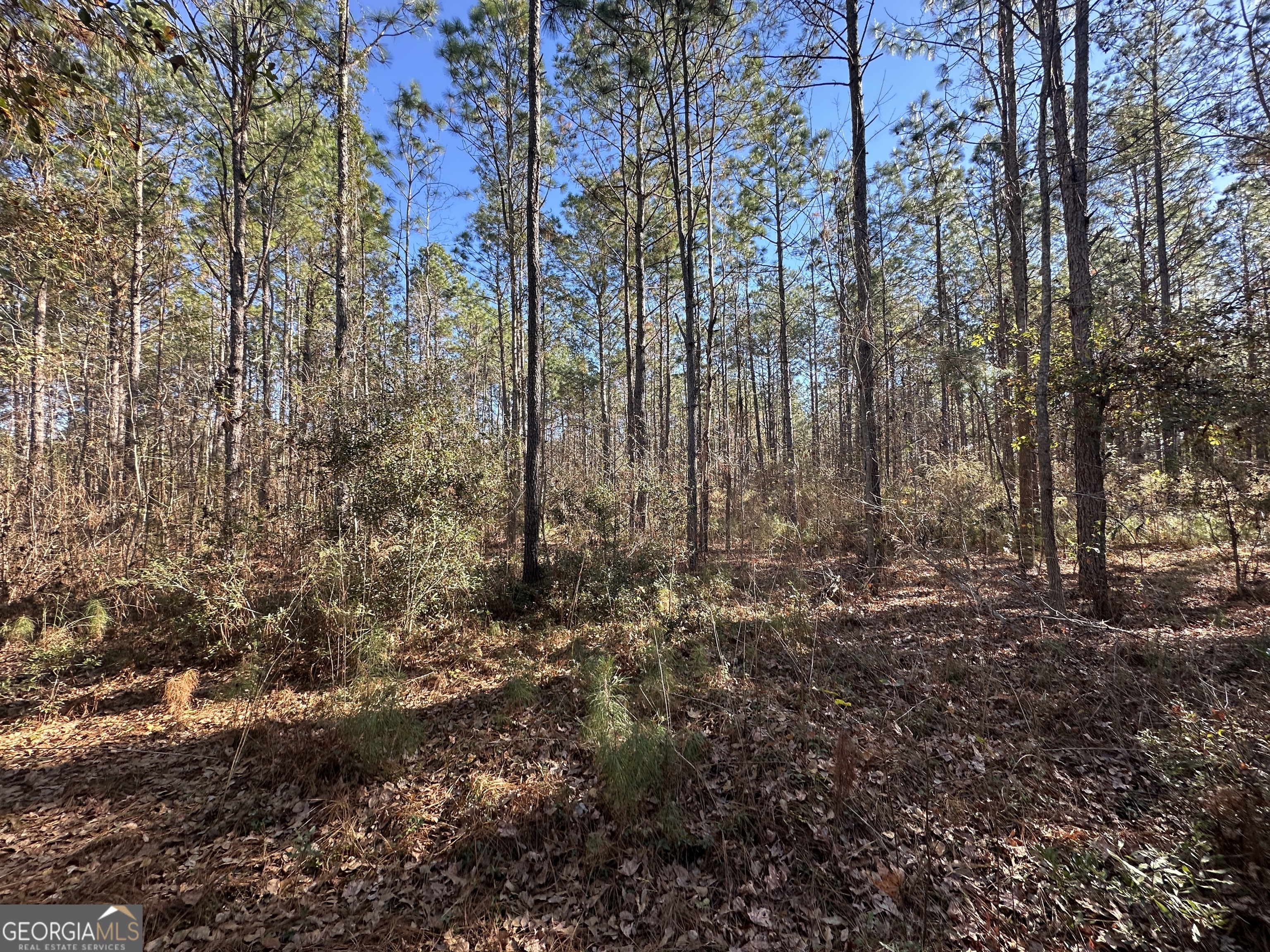 0 Halcyondale Loop Sylvania GA 30467