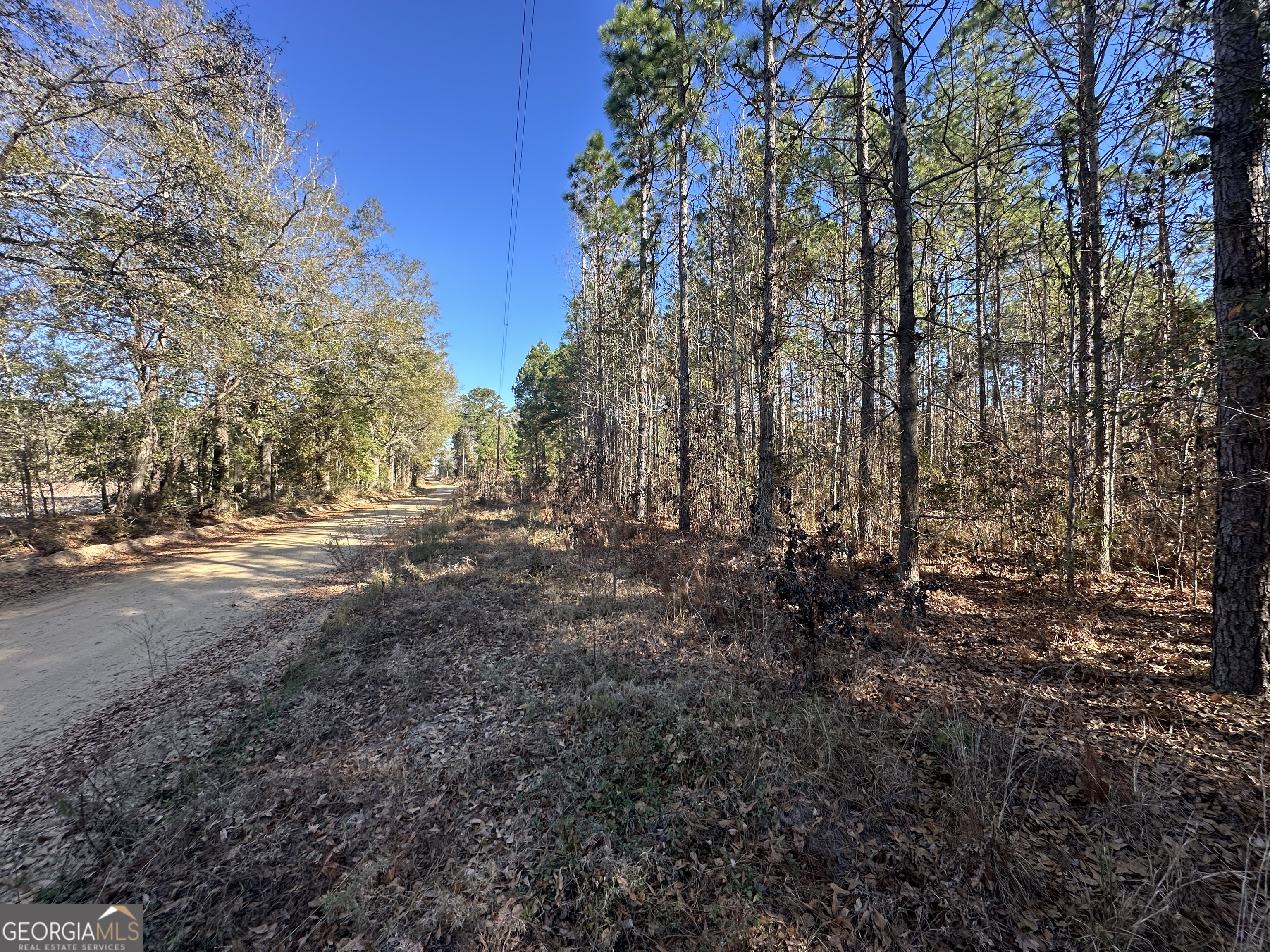0 Halcyondale Loop Sylvania GA 30467