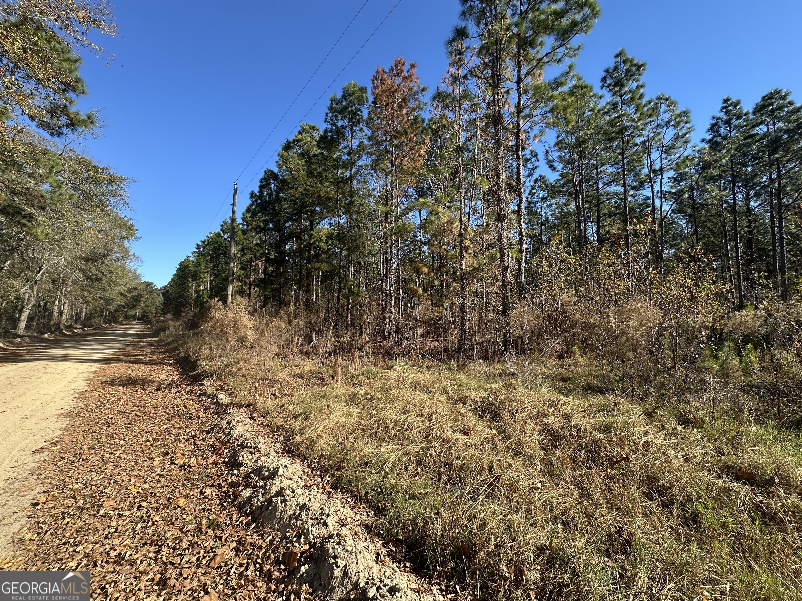 0 Halcyondale Loop Sylvania GA 30467