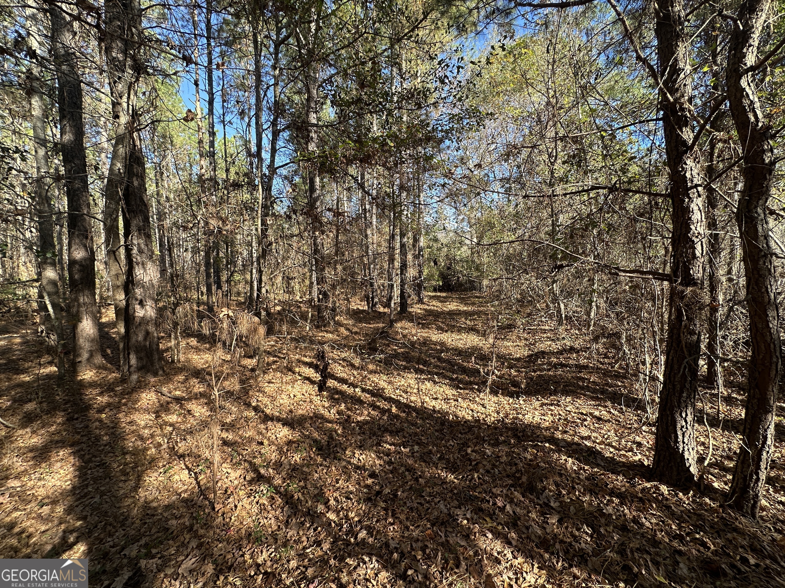 0 Halcyondale Loop Sylvania GA 30467