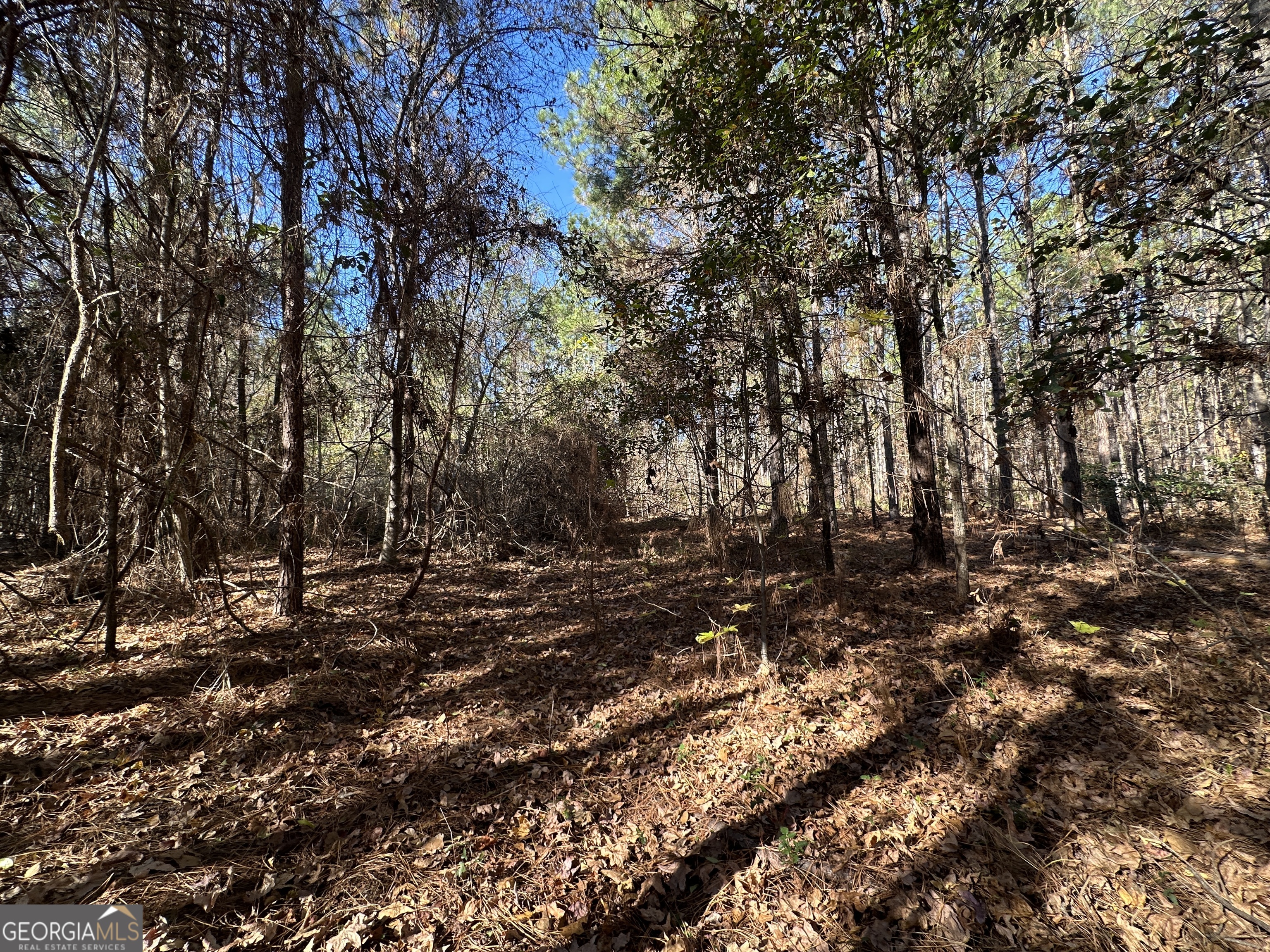 0 Halcyondale Loop Sylvania GA 30467