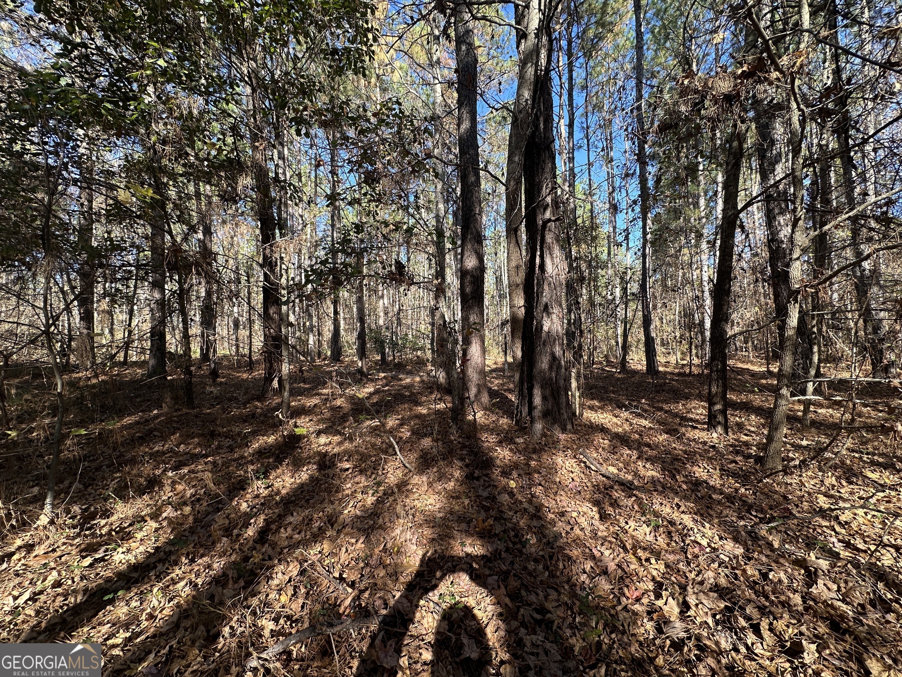 0 Halcyondale Loop Sylvania GA 30467