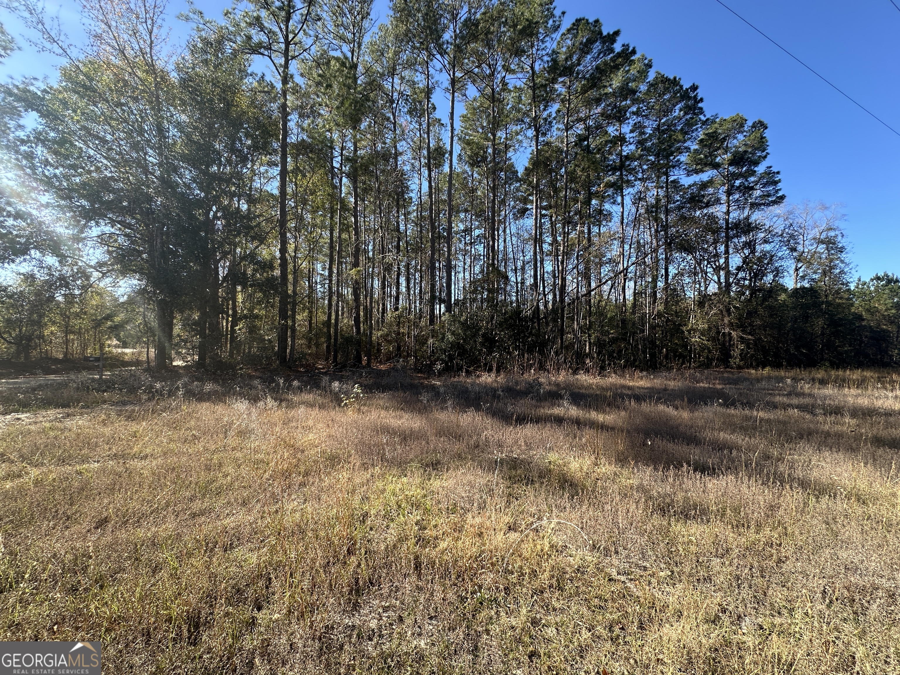 0 Halcyondale Loop Sylvania GA 30467