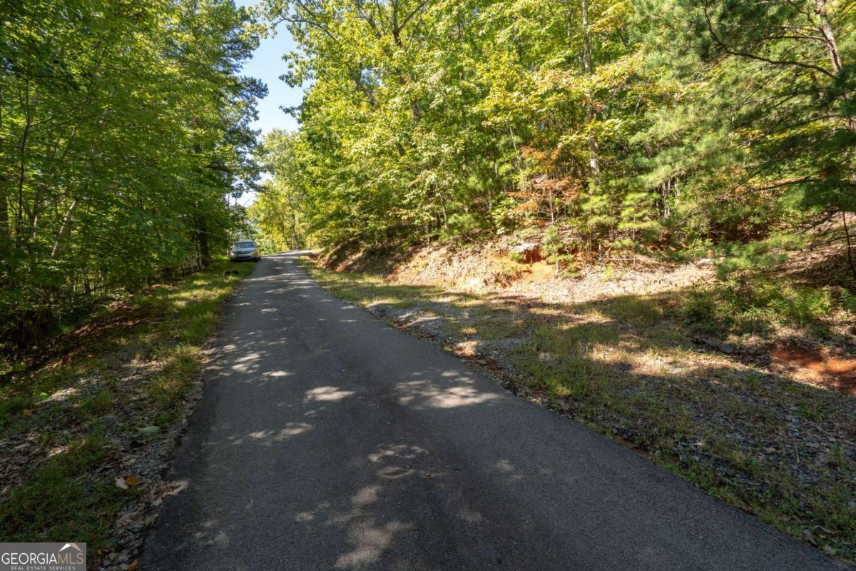 Lot 6/7 Raintree Bend Blue Ridge GA 30513