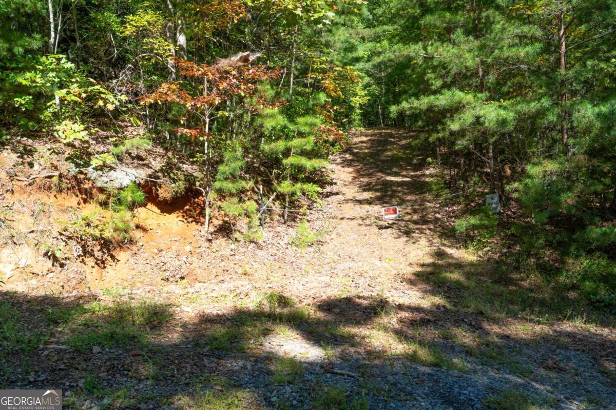 Lot 6/7 Raintree Bend Blue Ridge GA 30513