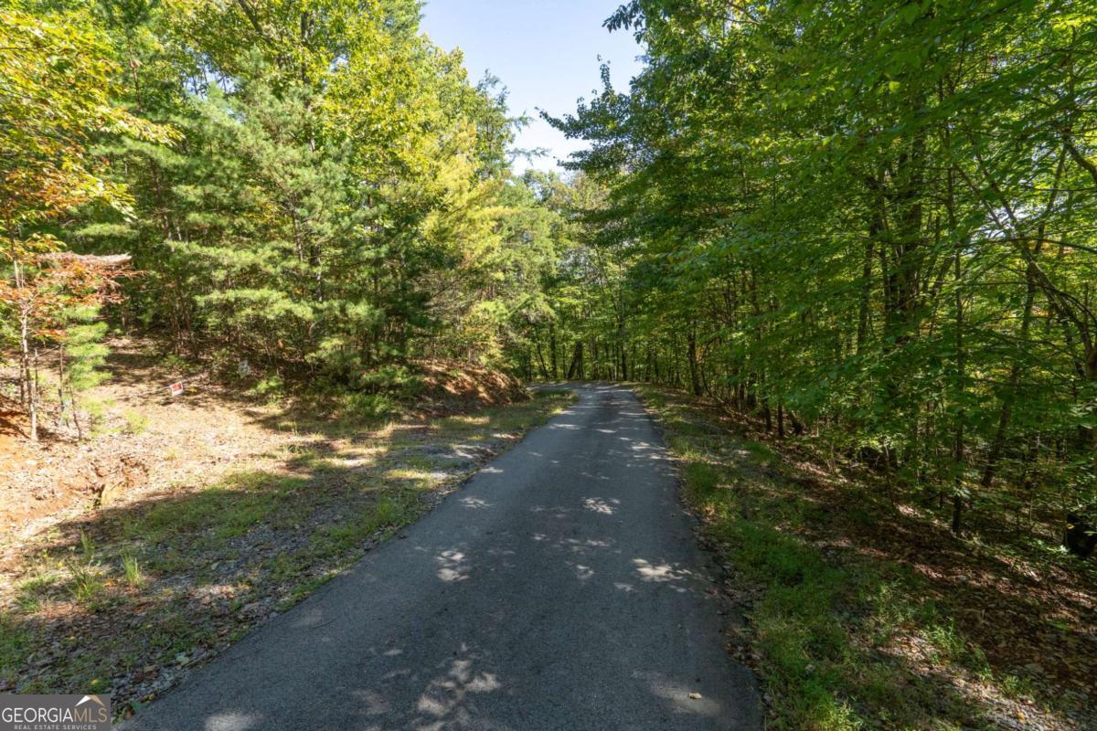 Lot 6/7 Raintree Bend Blue Ridge GA 30513