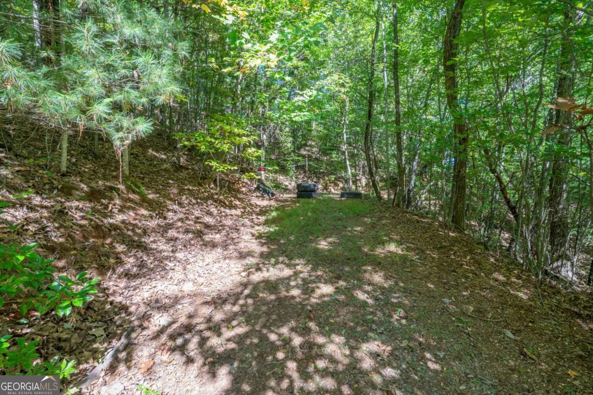 Lot 6/7 Raintree Bend Blue Ridge GA 30513