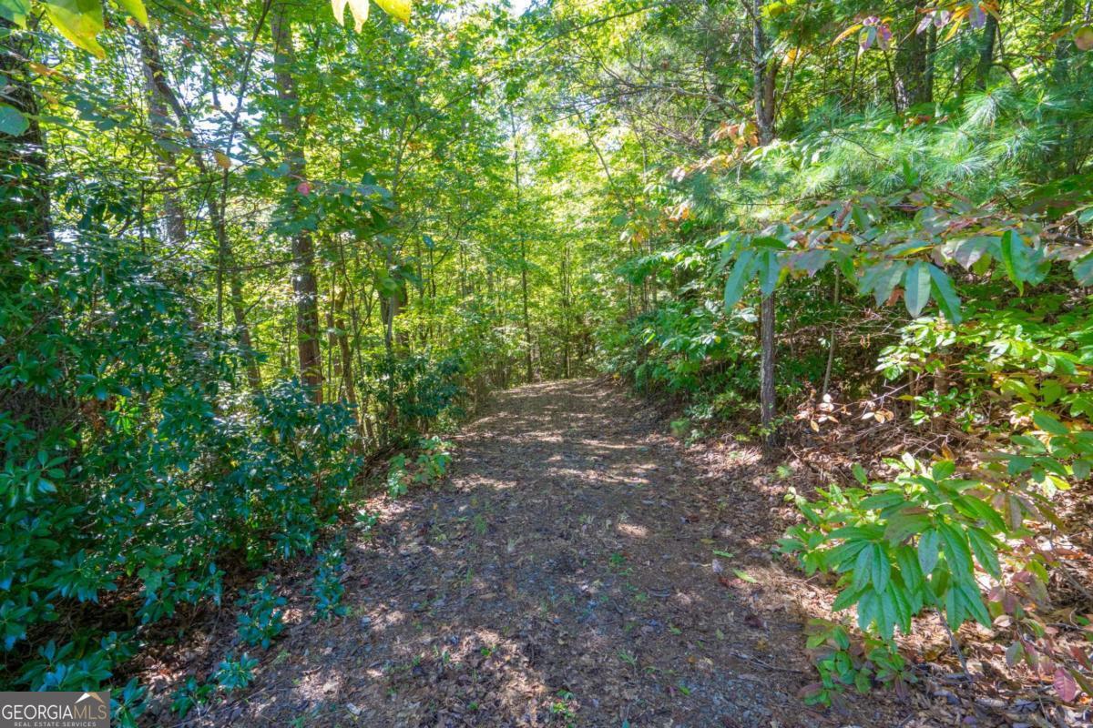 Lot 6/7 Raintree Bend Blue Ridge GA 30513