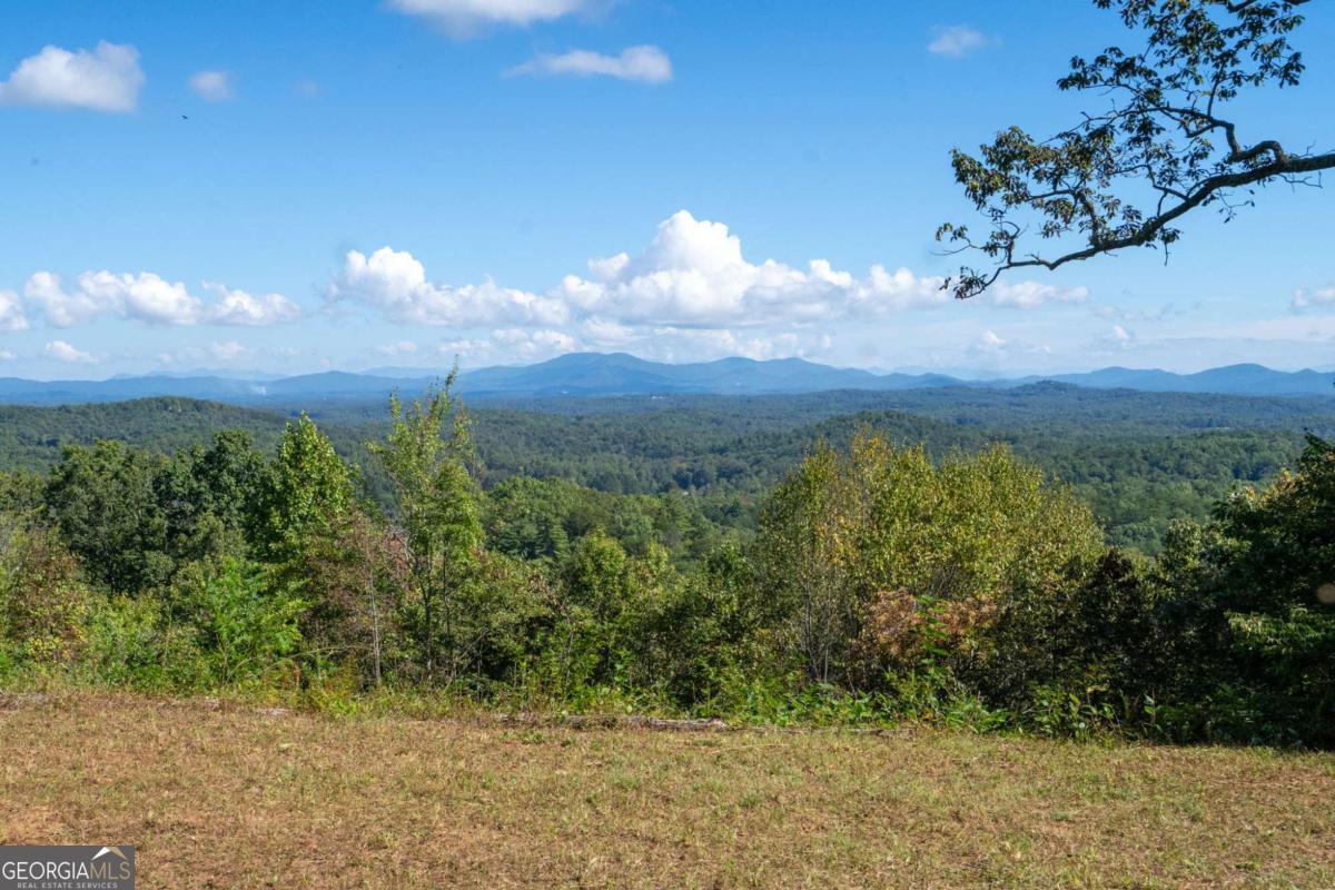 Lot 6/7 Raintree Bend Blue Ridge GA 30513