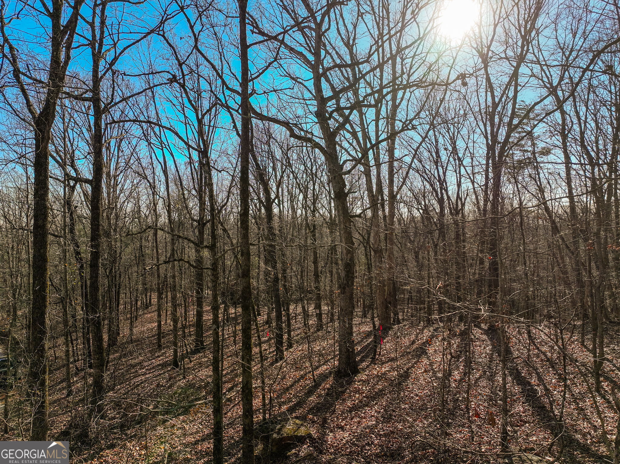 Lot 11 Mount Mincie Road Murrayville GA 30564