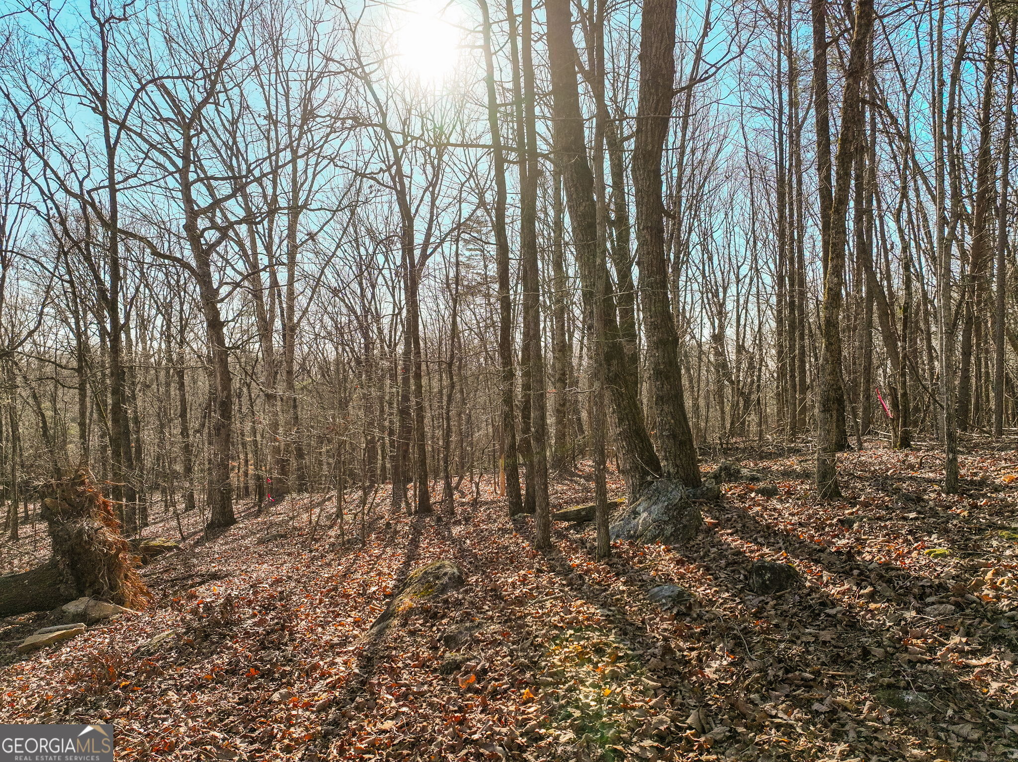 Lot 11 Mount Mincie Road Murrayville GA 30564