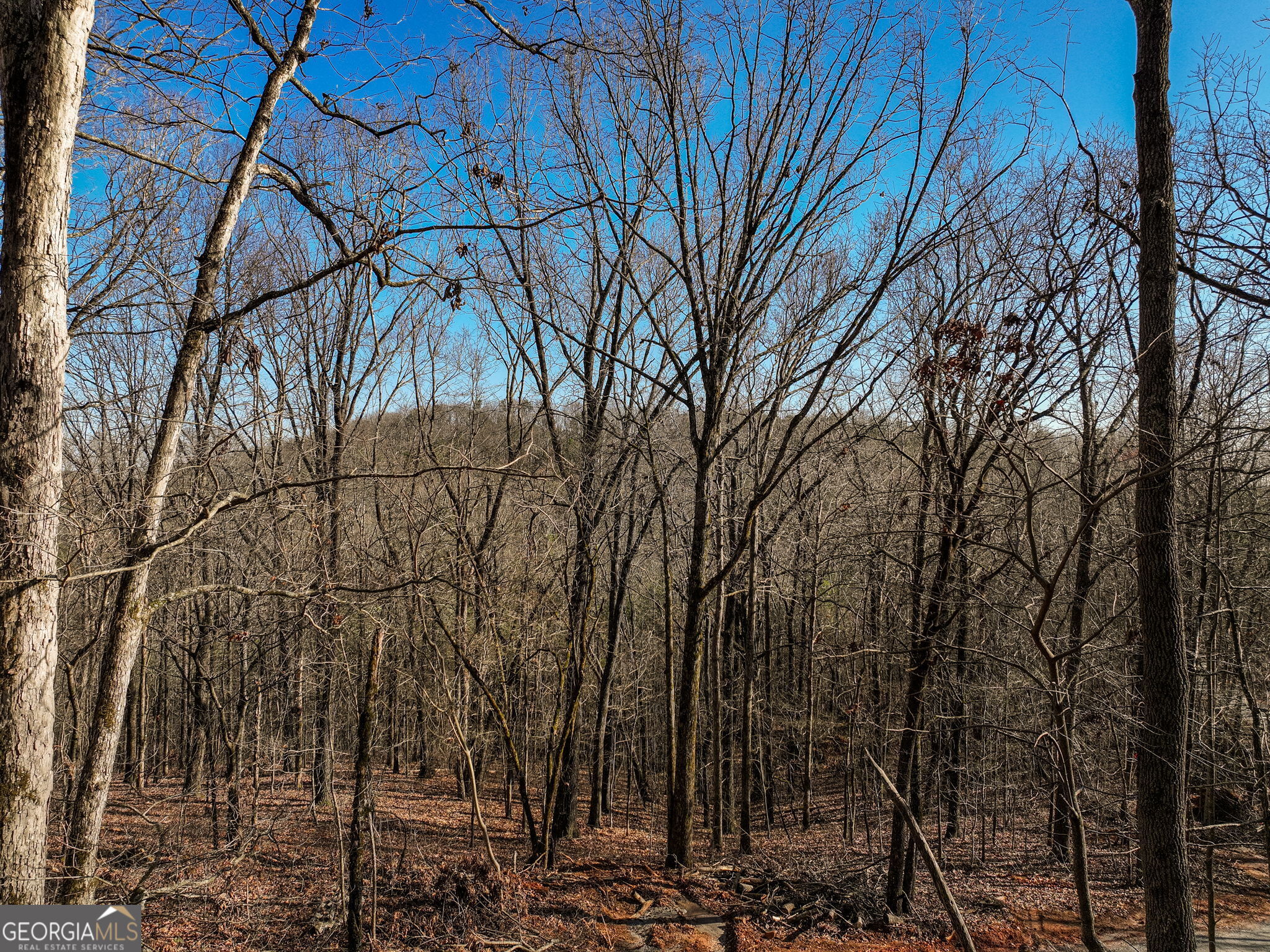 Lot 11 Mount Mincie Road Murrayville GA 30564