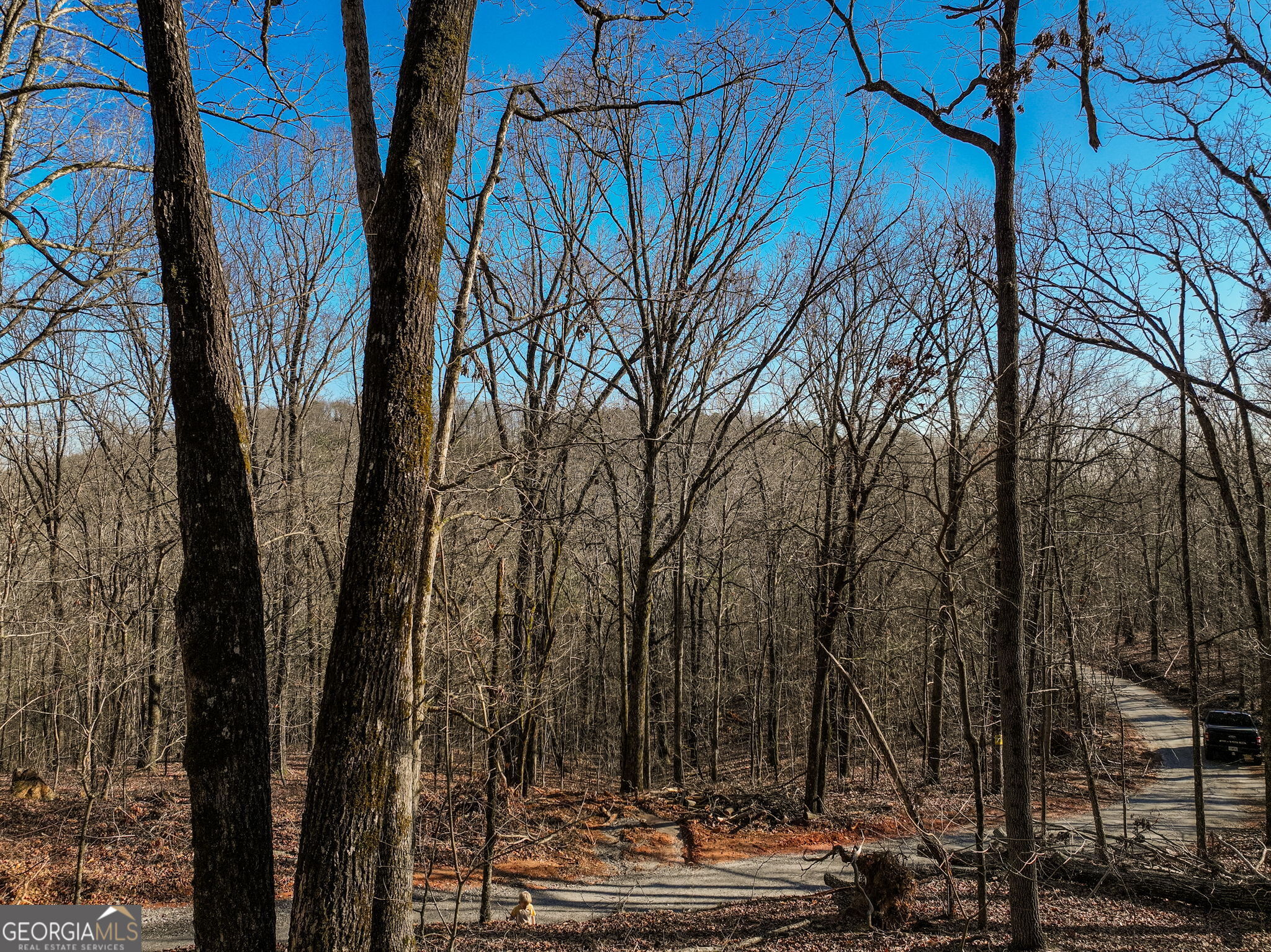 Lot 11 Mount Mincie Road Murrayville GA 30564