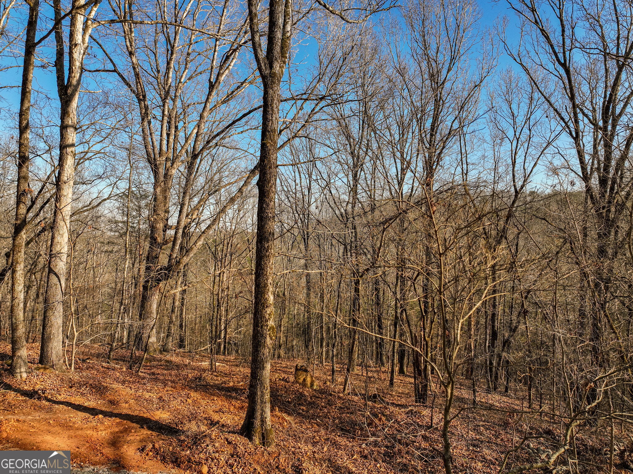 Lot 11 Mount Mincie Road Murrayville GA 30564