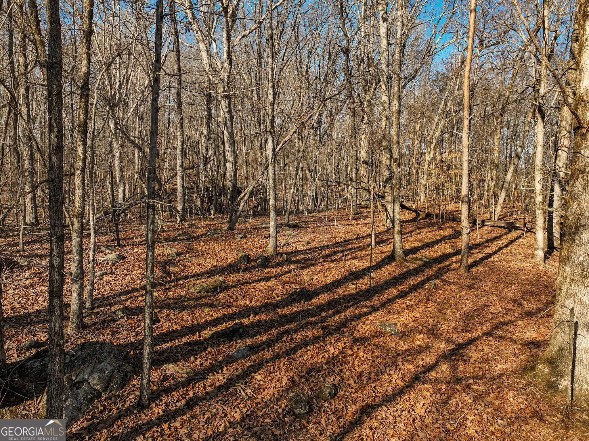 Lot 11 Mount Mincie Road Murrayville GA 30564