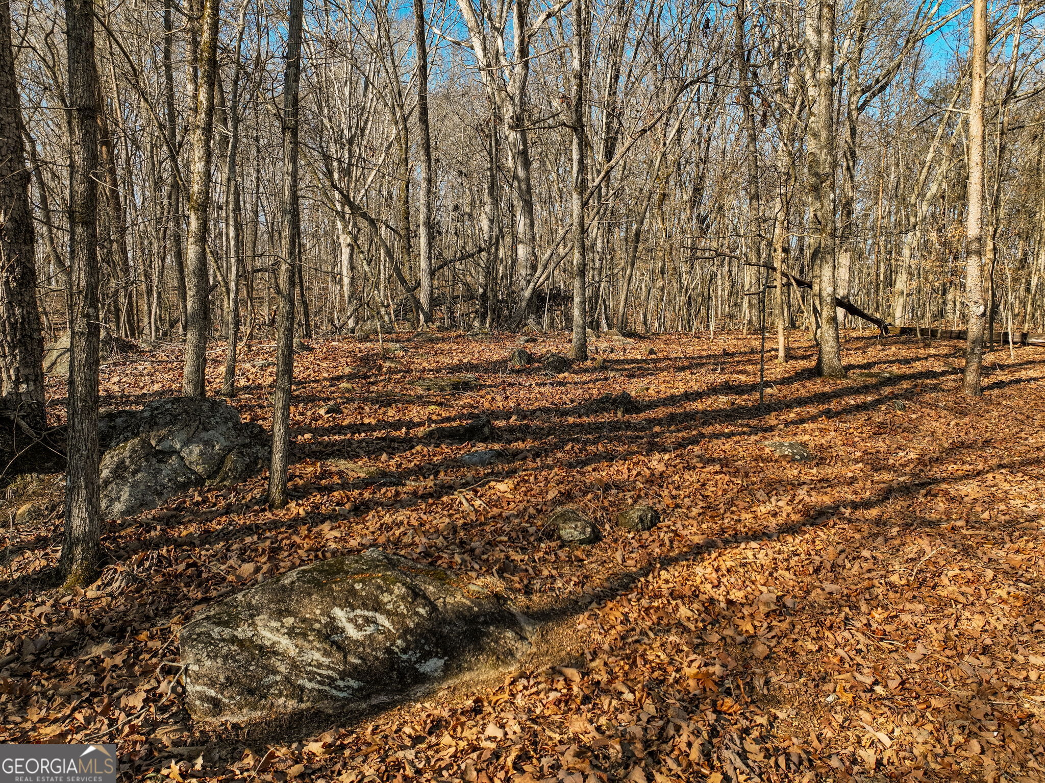 Lot 11 Mount Mincie Road Murrayville GA 30564