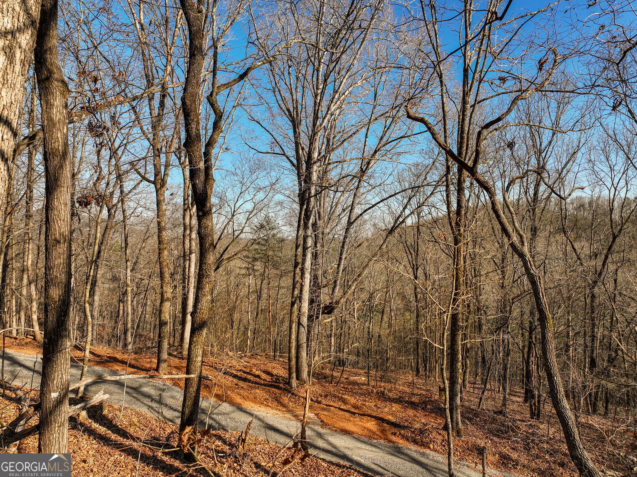 Lot 11 Mount Mincie Road Murrayville GA 30564