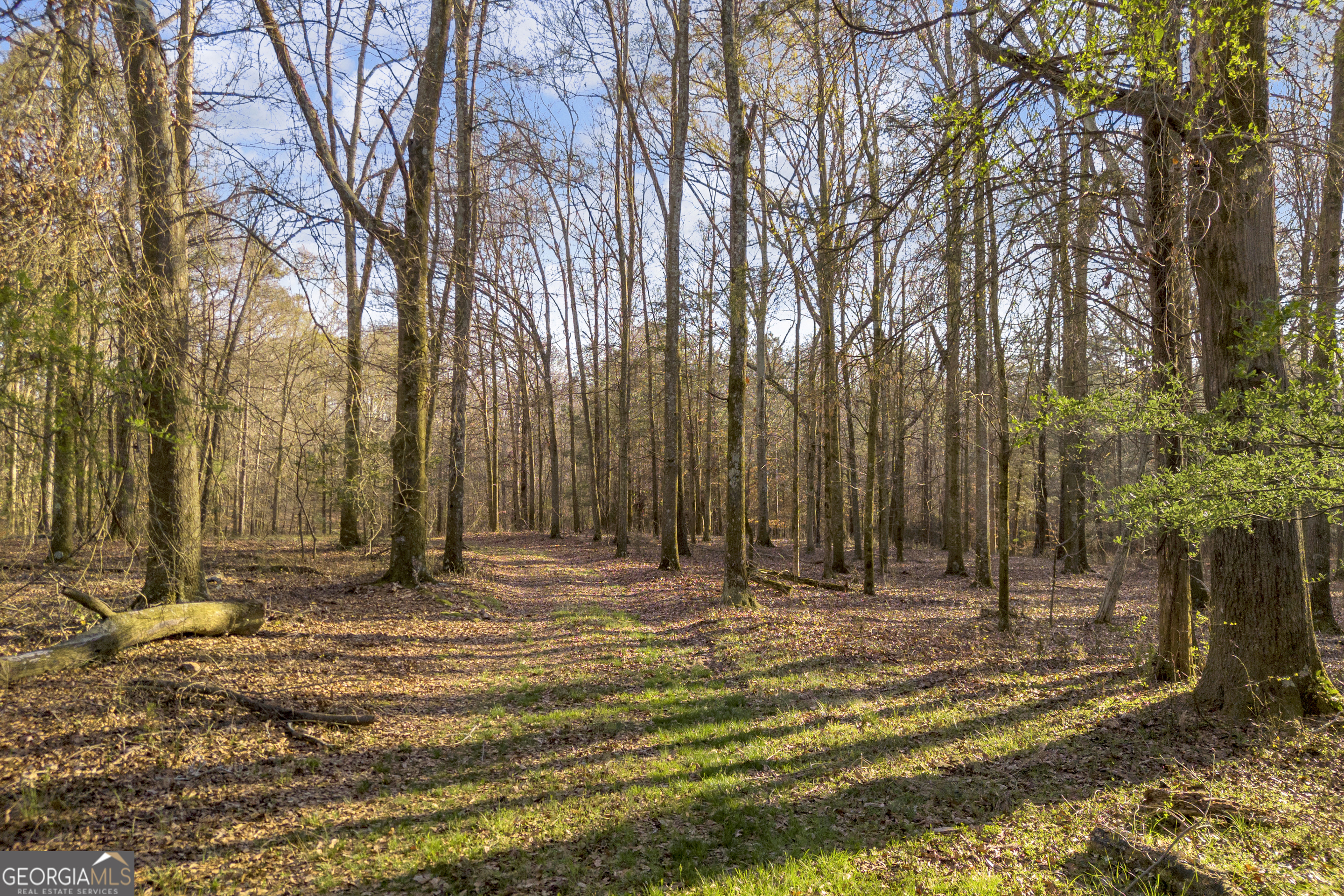 8714 Highway 172 Comer GA 30629