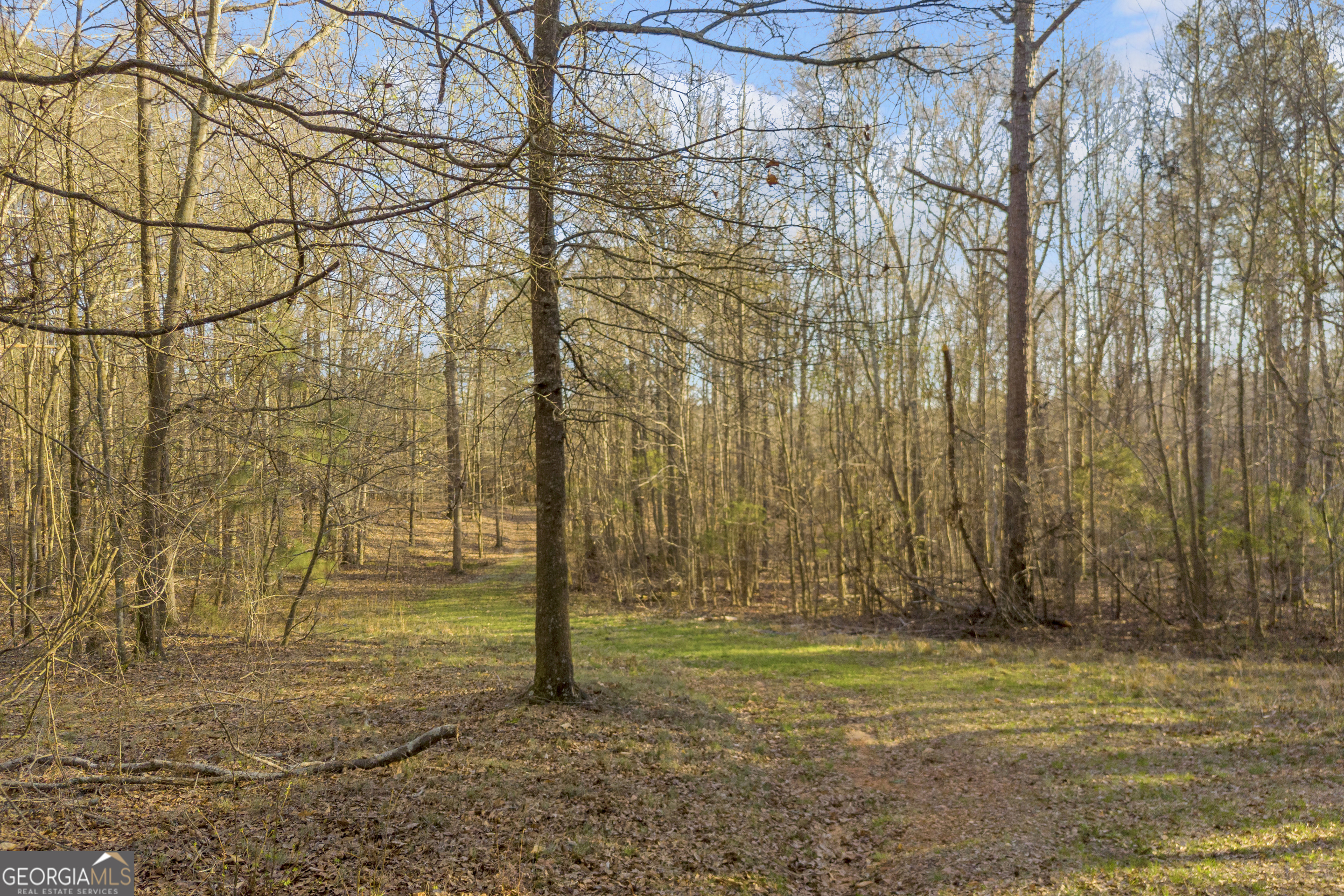 8714 Highway 172 Comer GA 30629