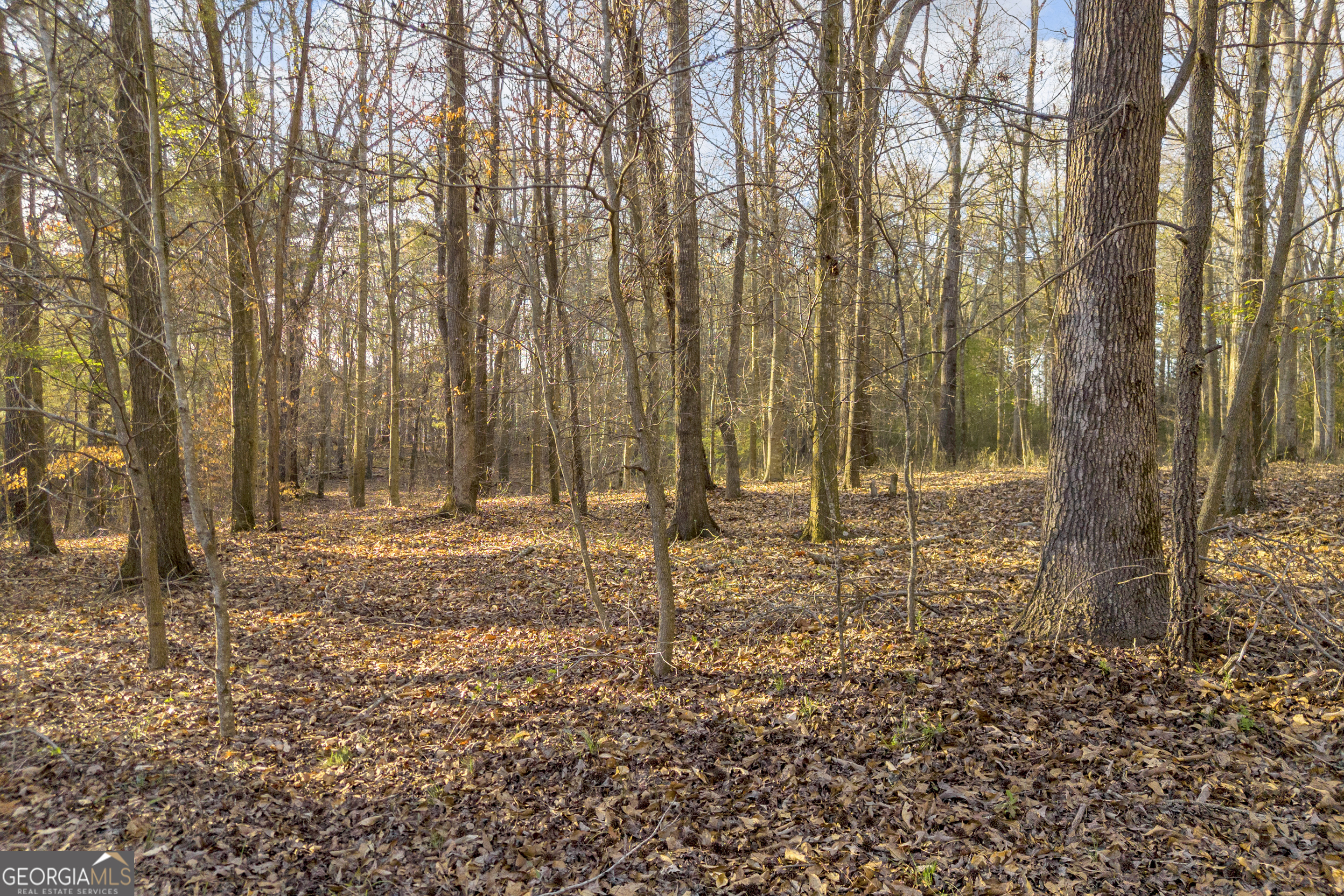 8714 Highway 172 Comer GA 30629