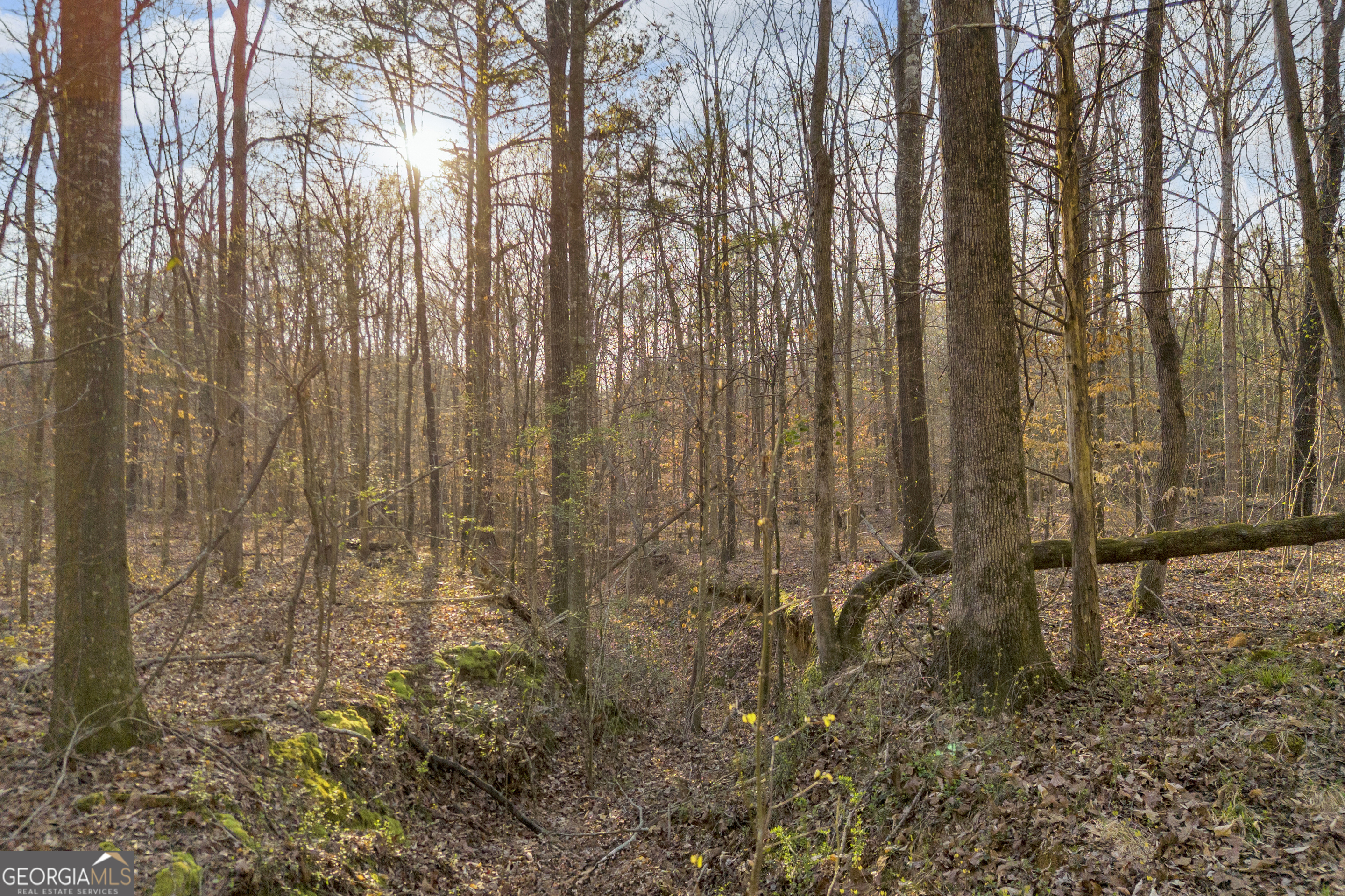8714 Highway 172 Comer GA 30629