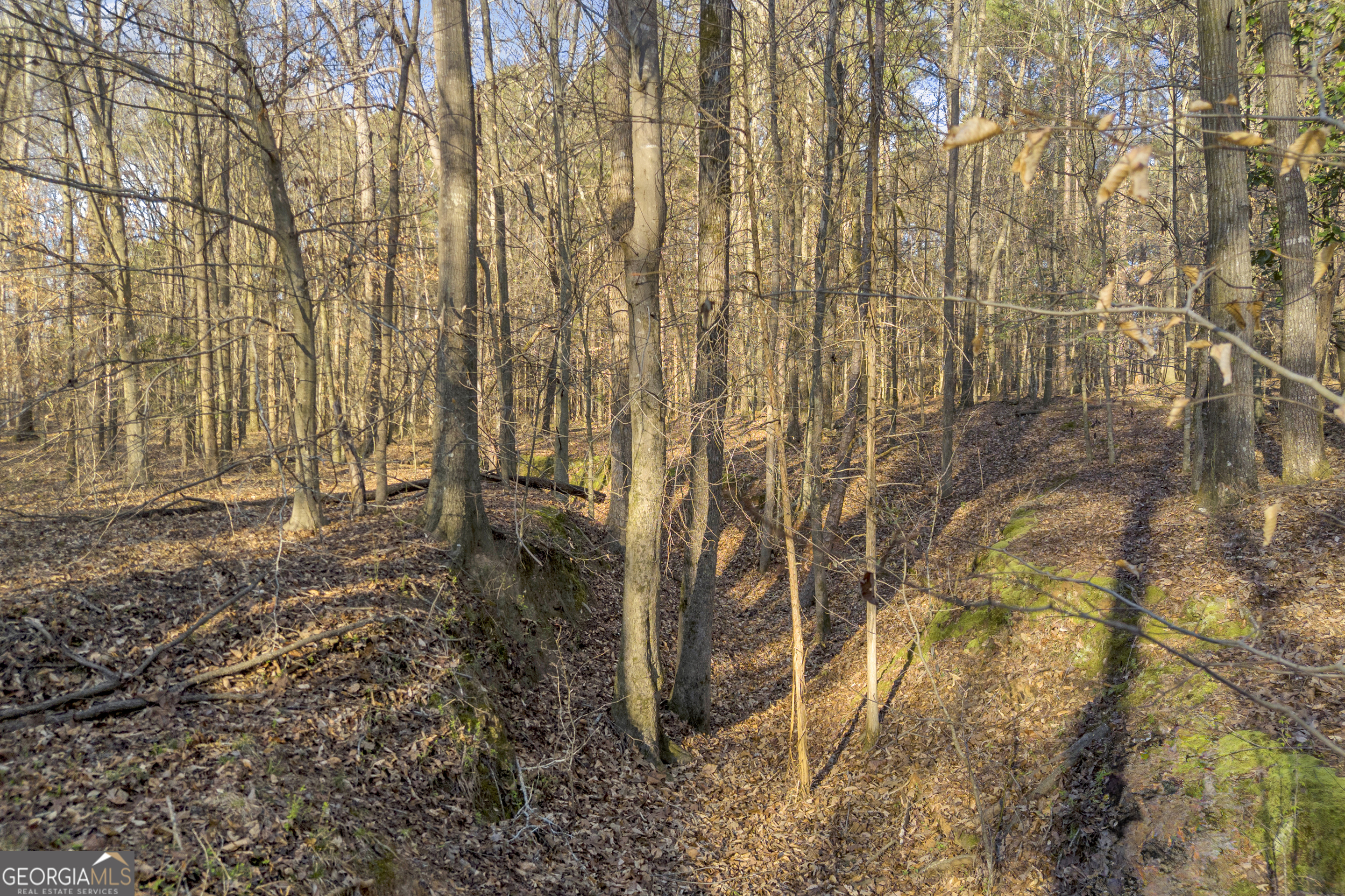 8714 Highway 172 Comer GA 30629