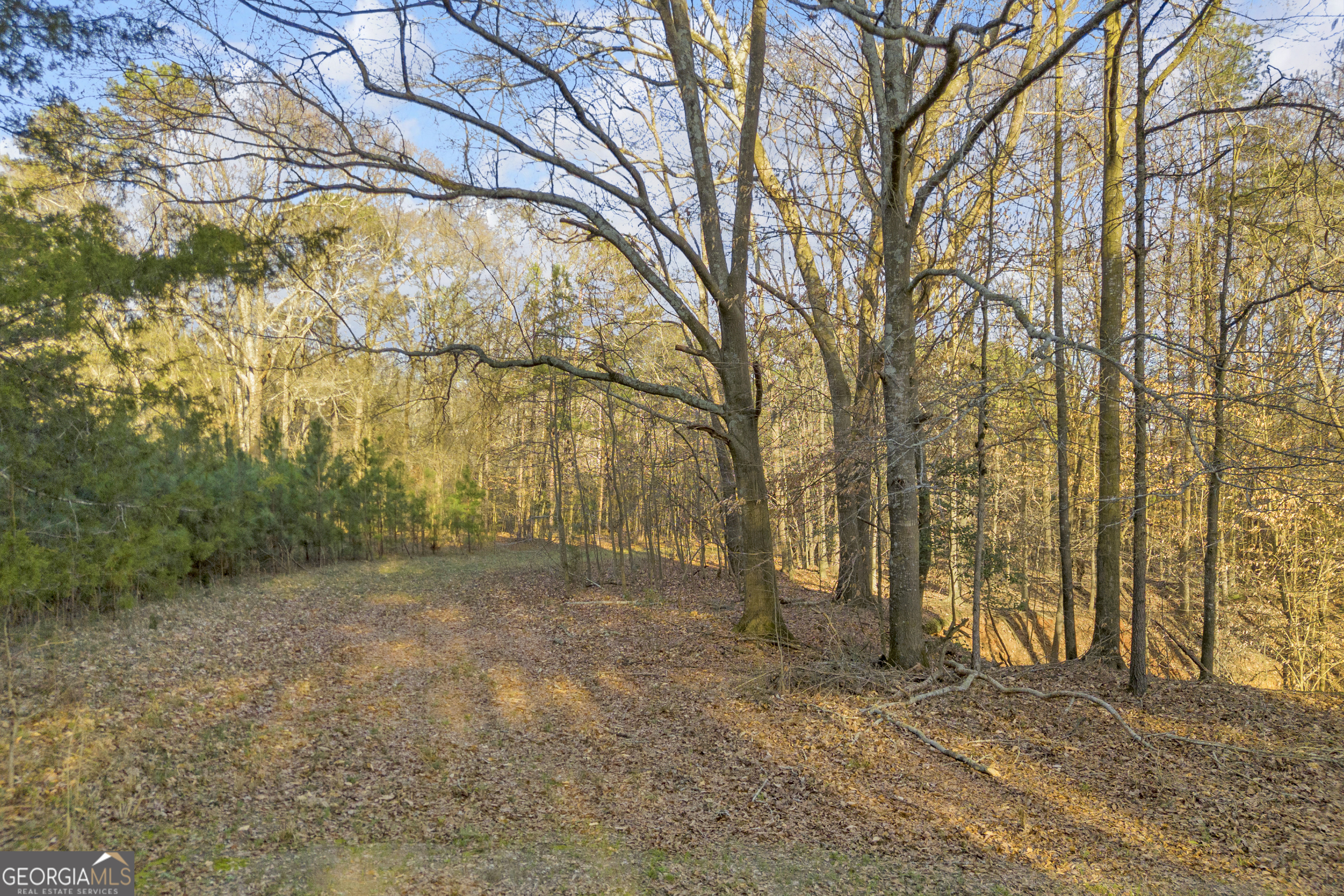 8714 Highway 172 Comer GA 30629