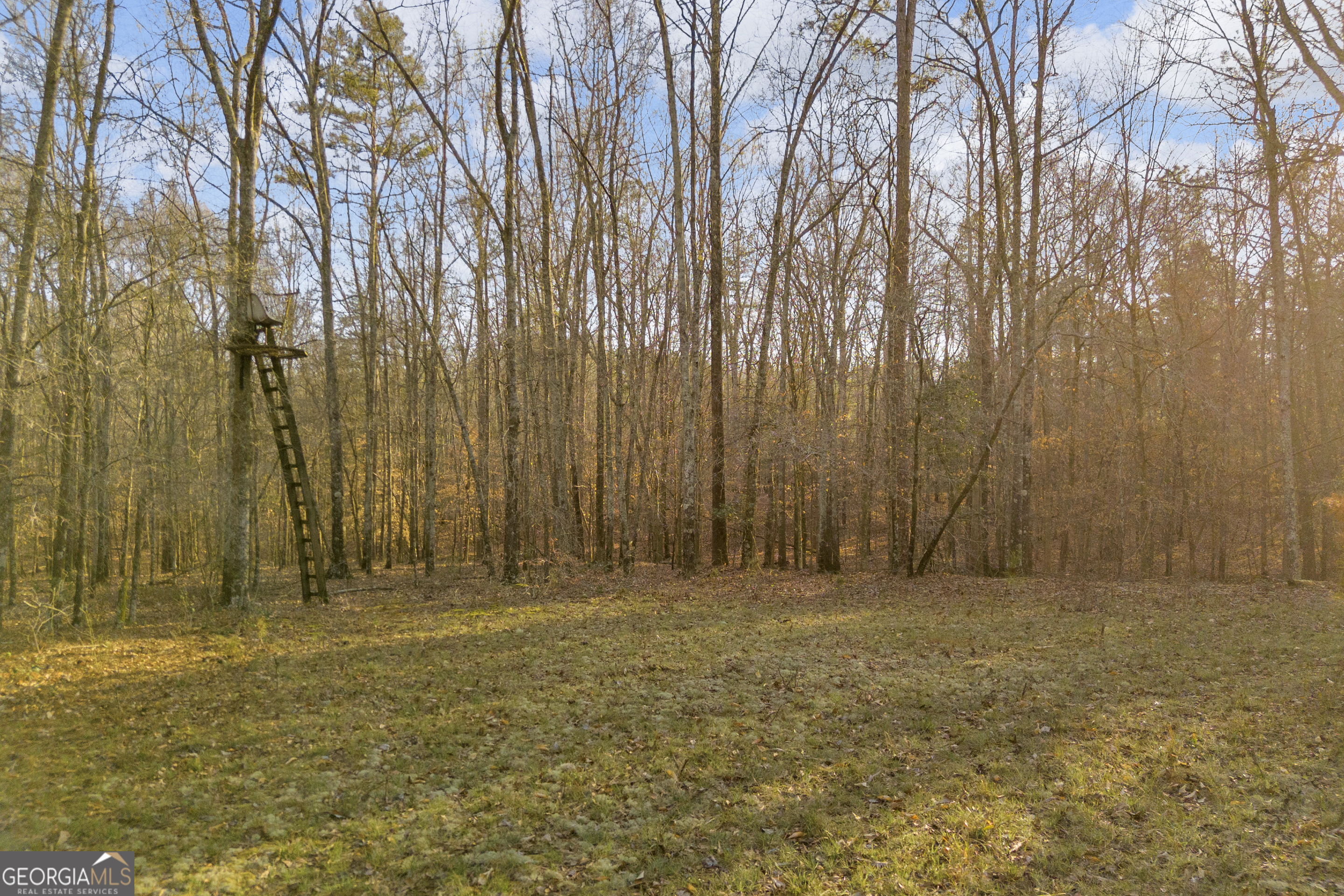 8714 Highway 172 Comer GA 30629