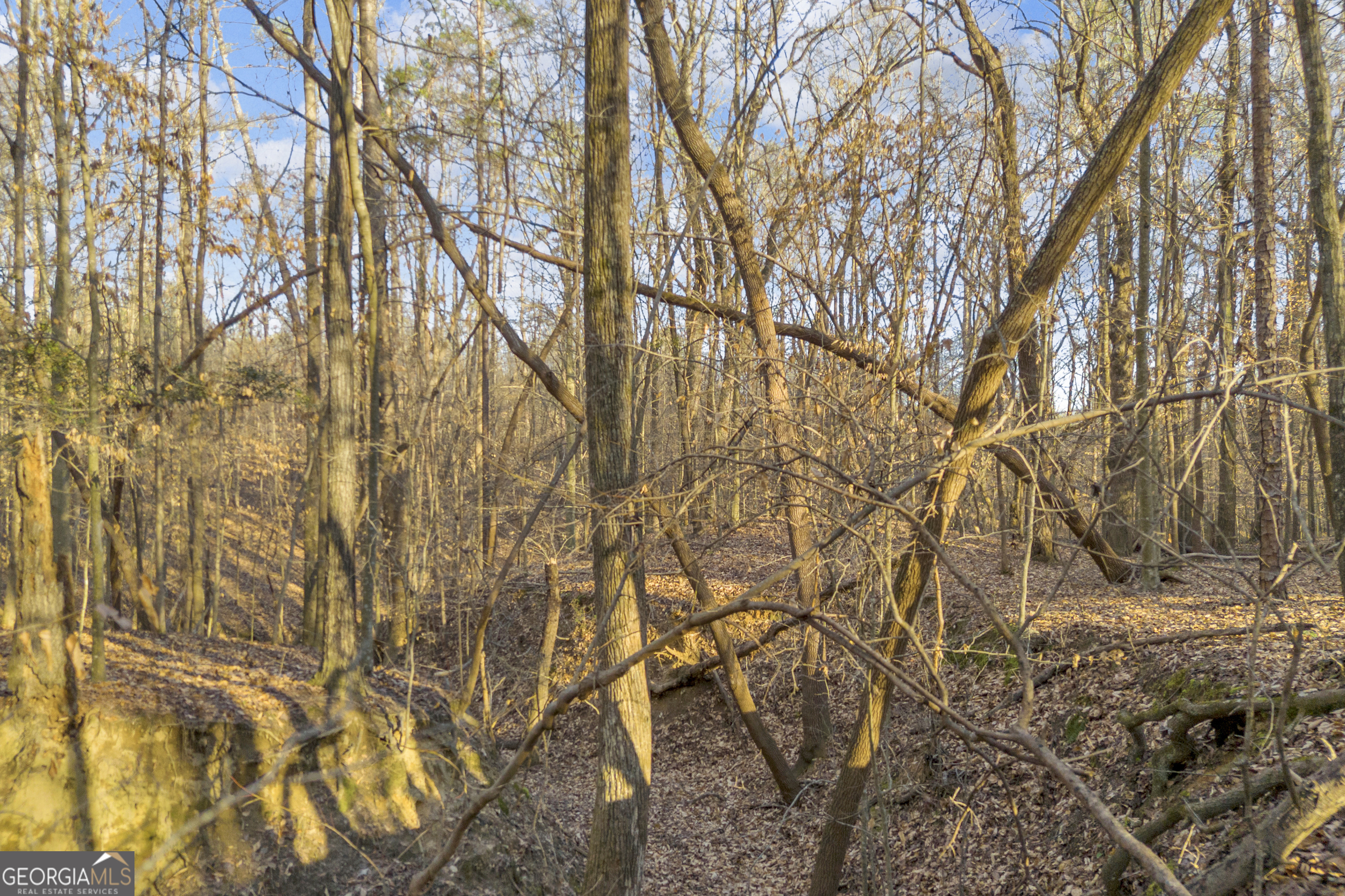 8714 Highway 172 Comer GA 30629