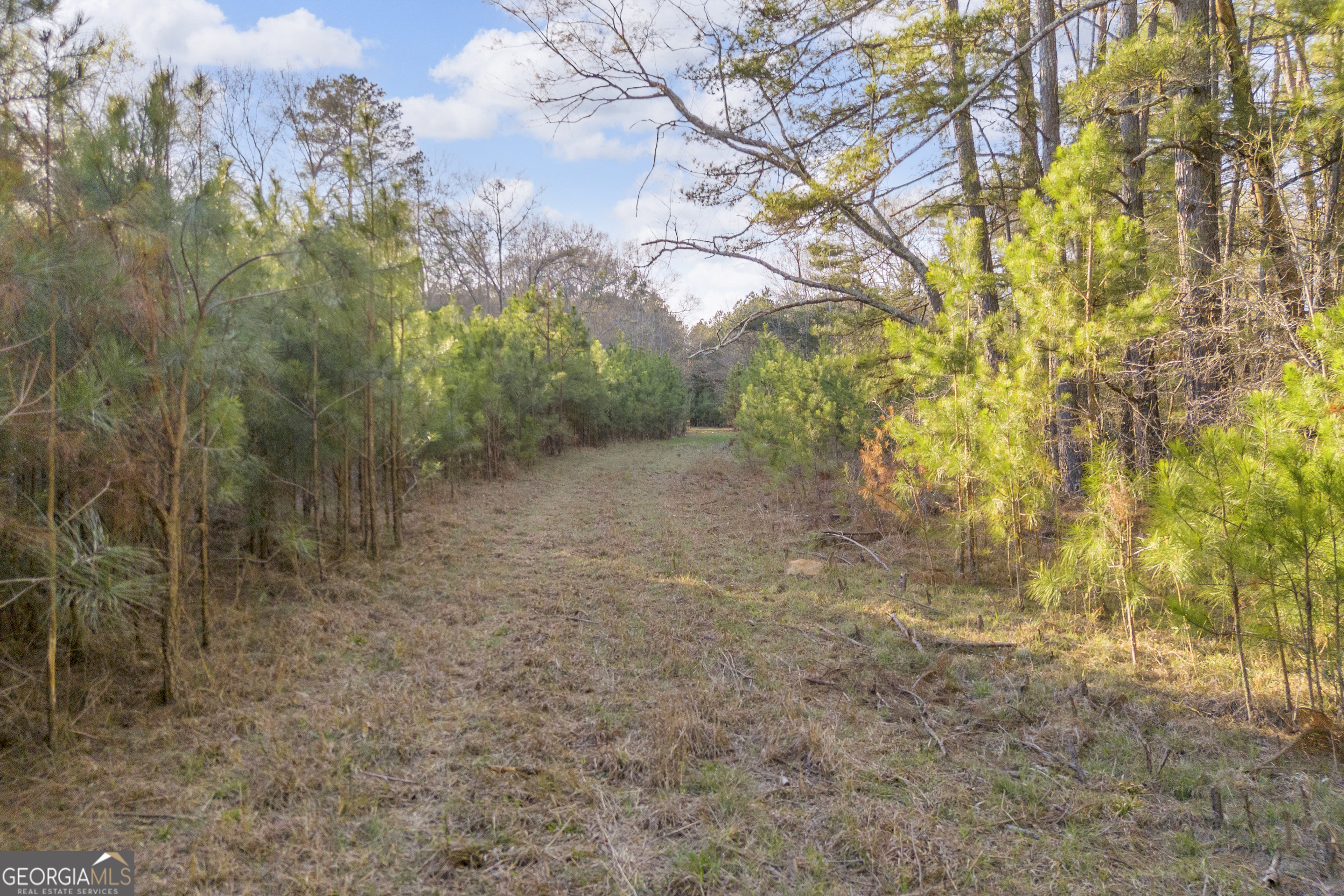 8714 Highway 172 Comer GA 30629