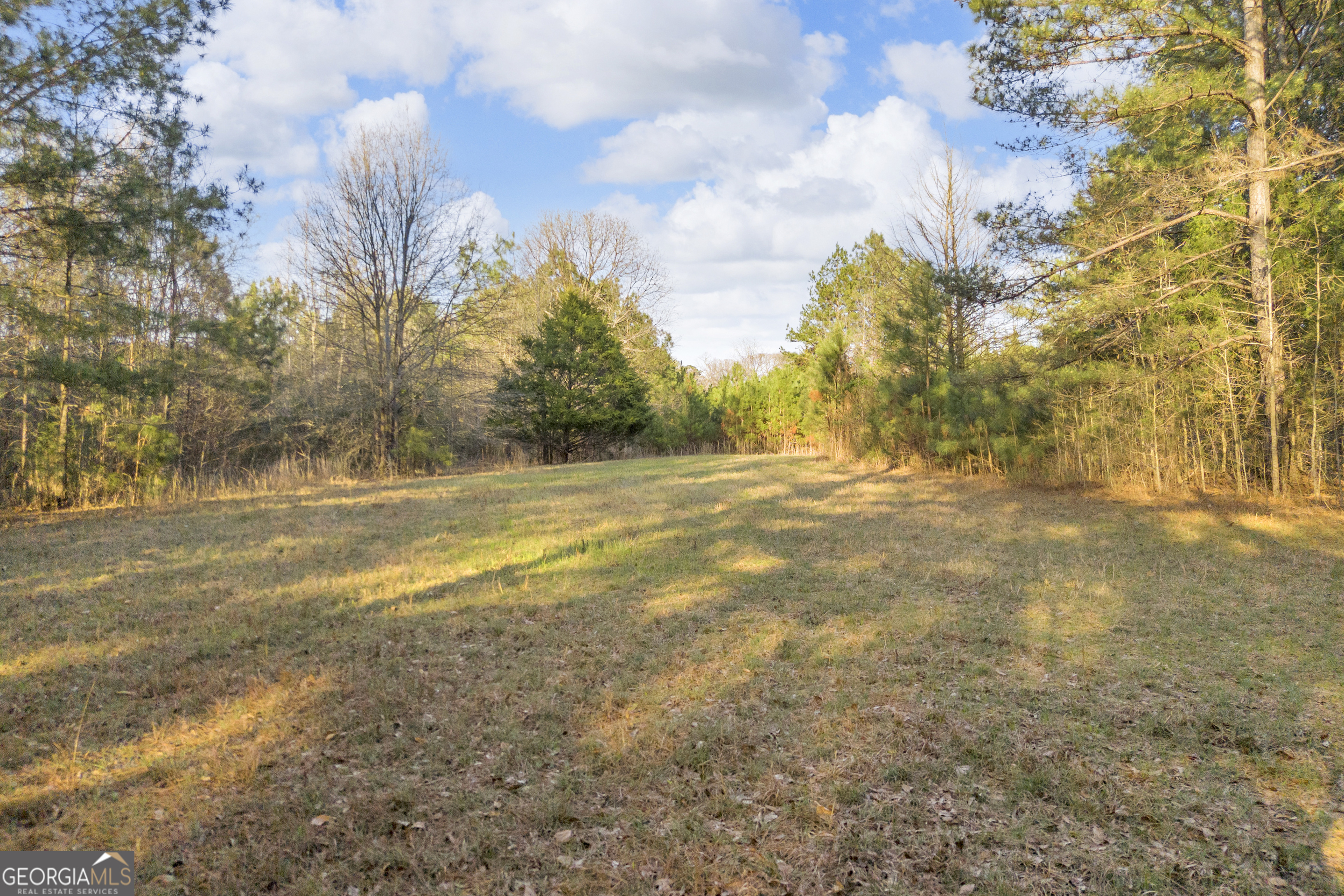 8714 Highway 172 Comer GA 30629
