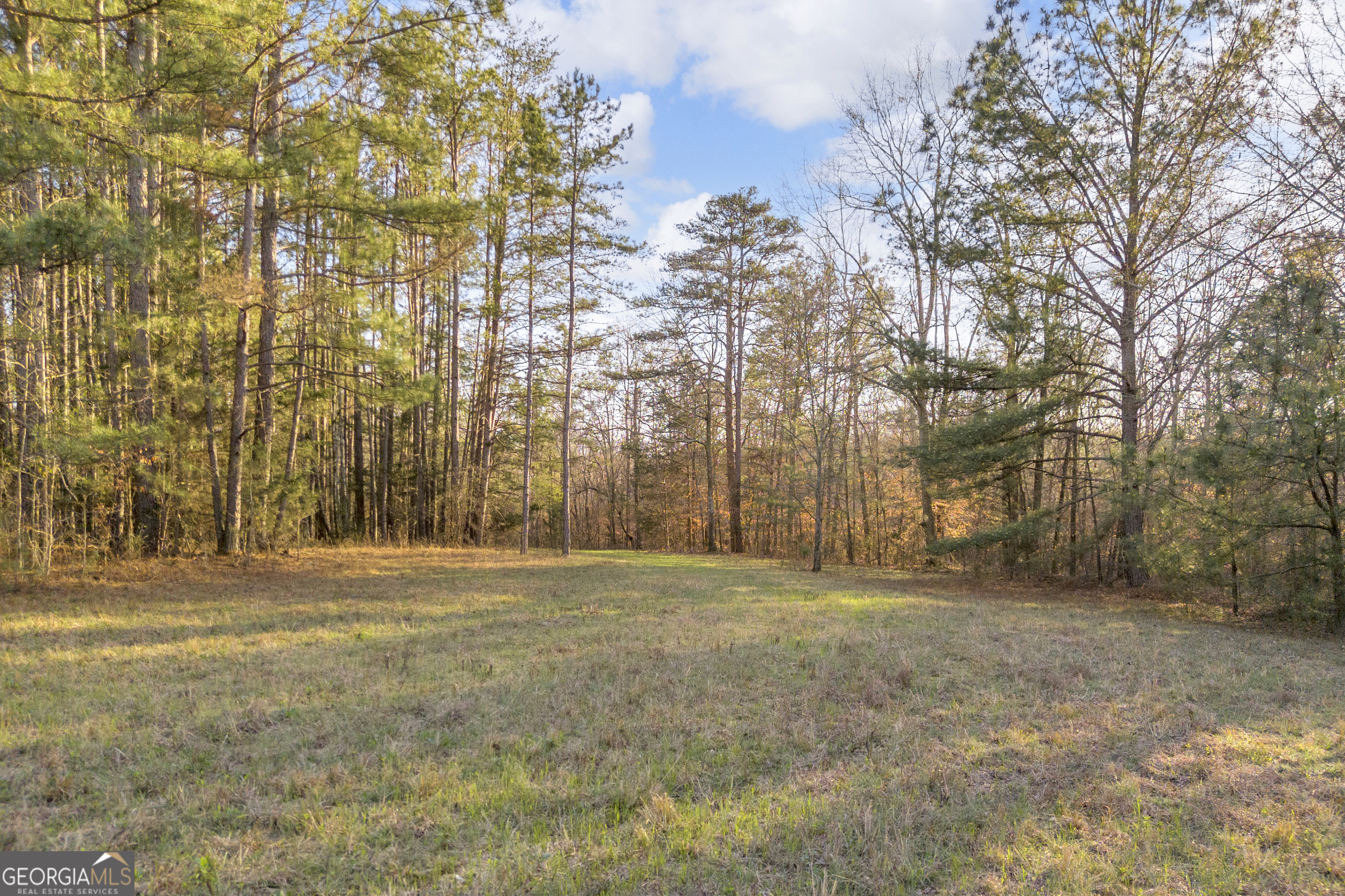 8714 Highway 172 Comer GA 30629