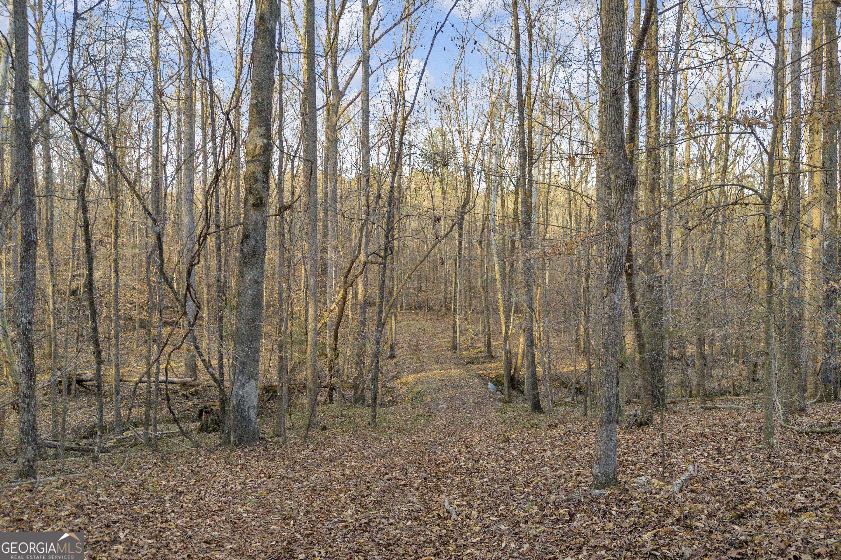 8714 Highway 172 Comer GA 30629