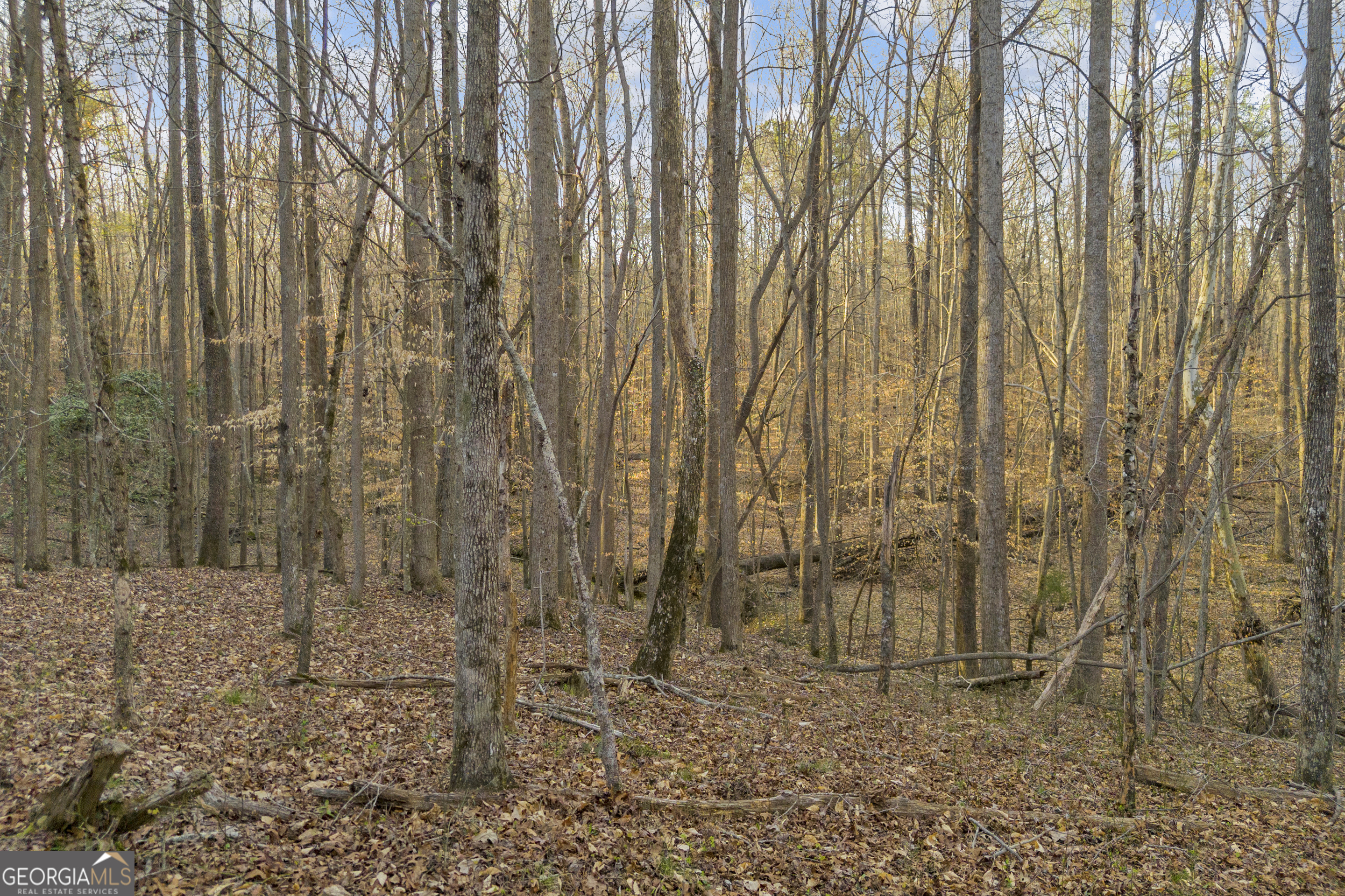 8714 Highway 172 Comer GA 30629