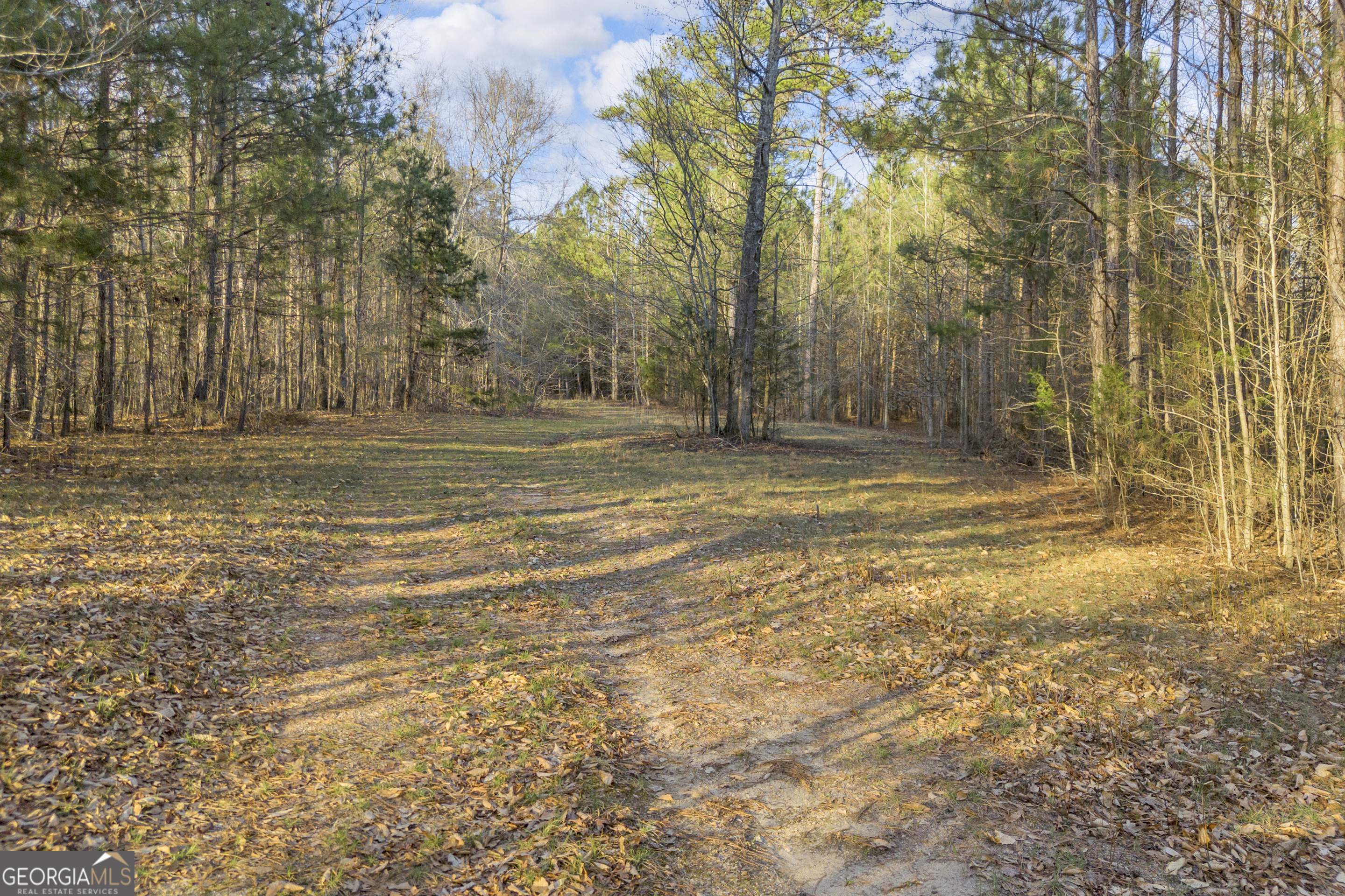 8714 Highway 172 Comer GA 30629
