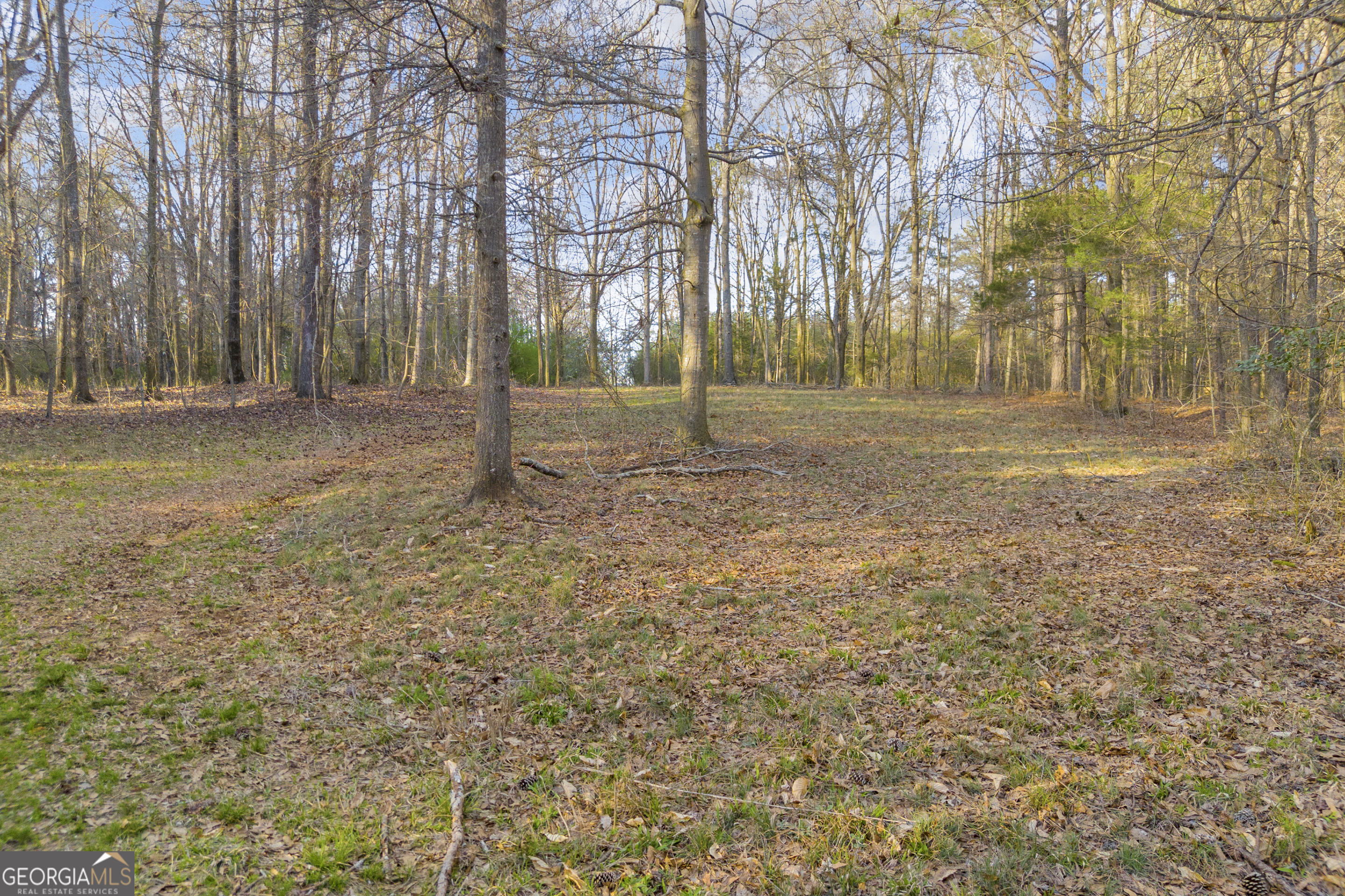 8714 Highway 172 Comer GA 30629