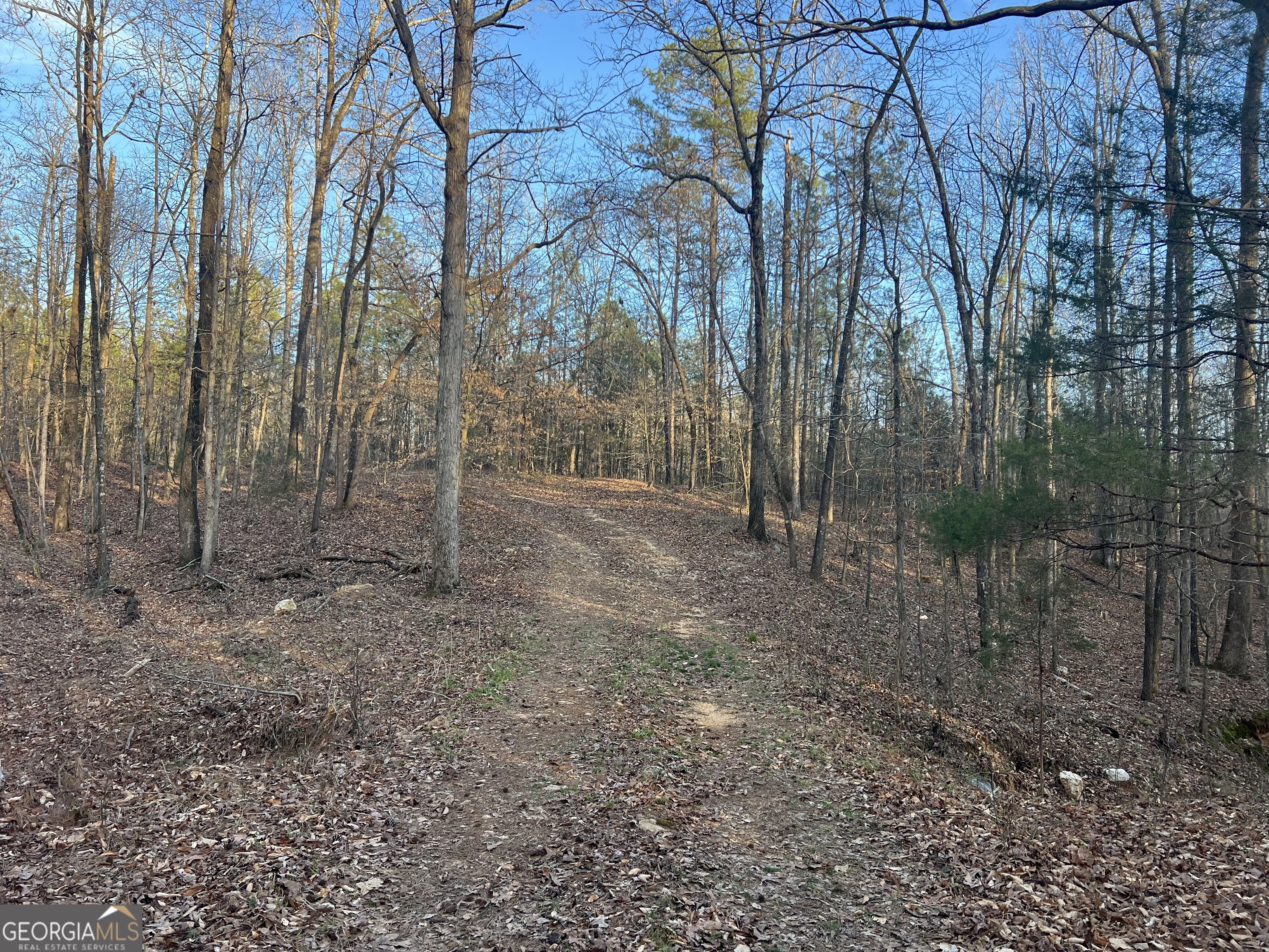 8714 Highway 172 Comer GA 30629
