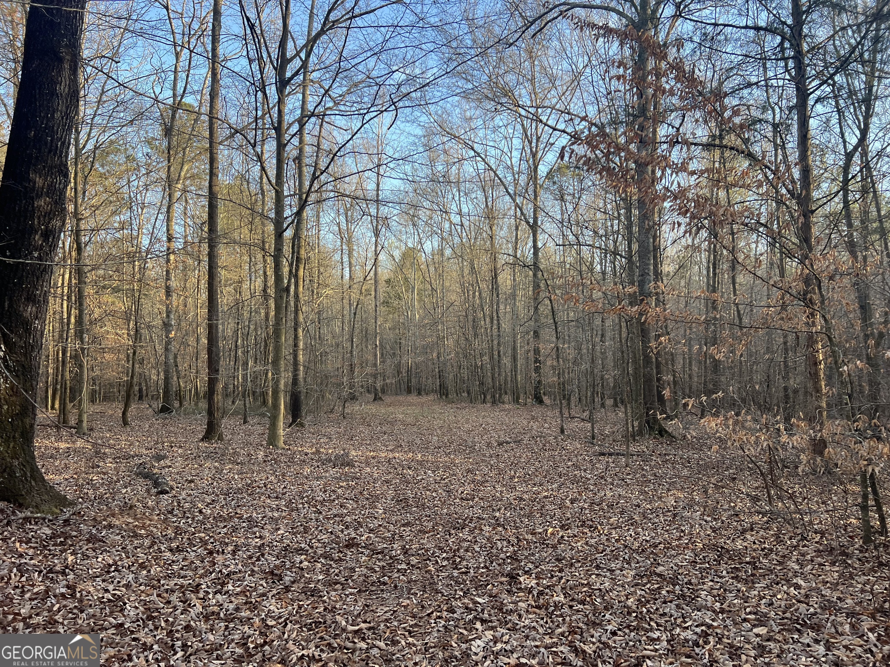8714 Highway 172 Comer GA 30629