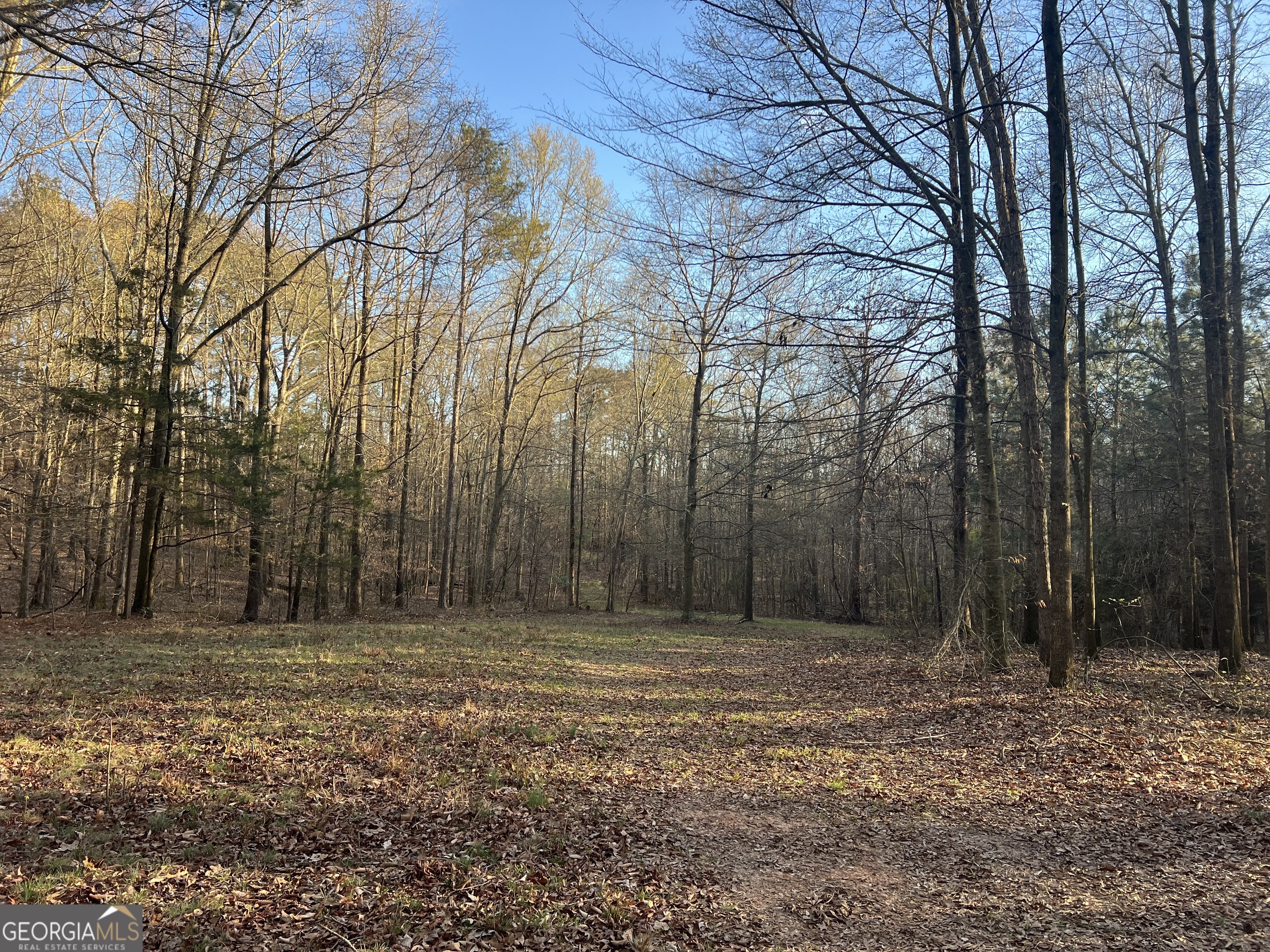 8714 Highway 172 Comer GA 30629