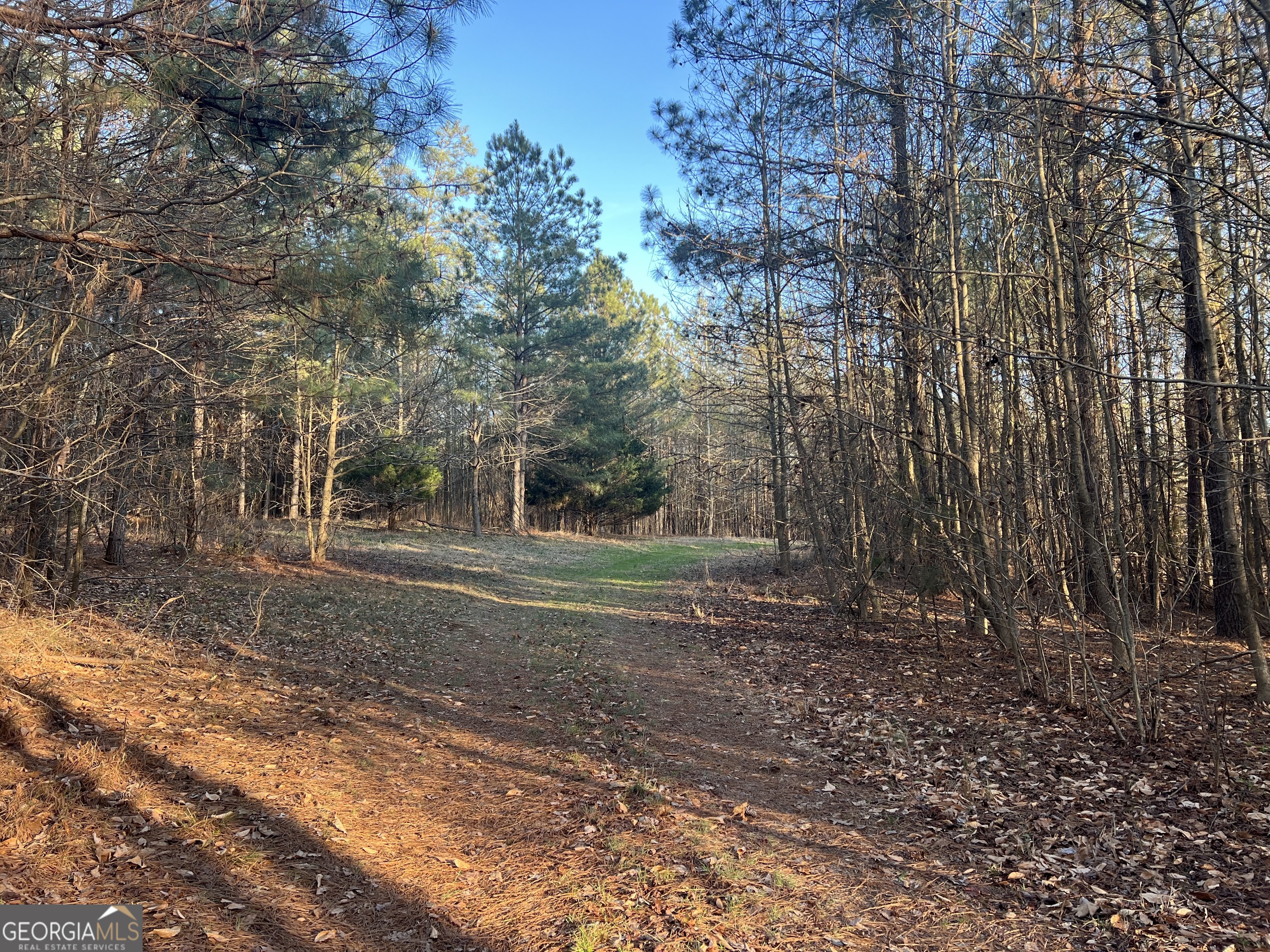 8714 Highway 172 Comer GA 30629
